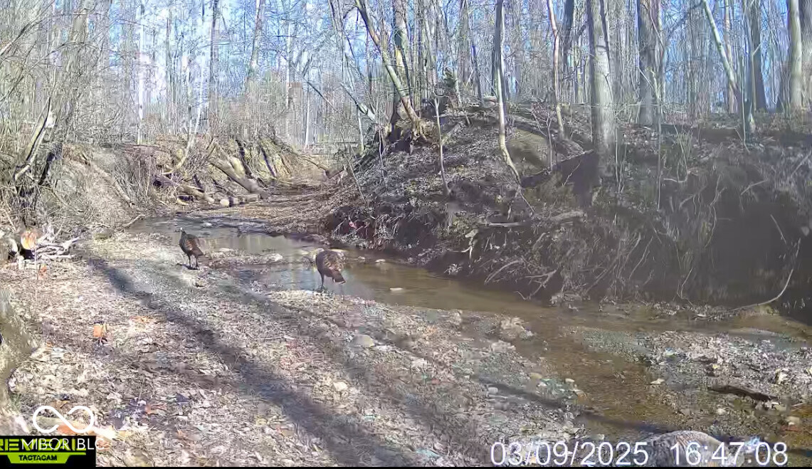 6884 S County Road 400 E