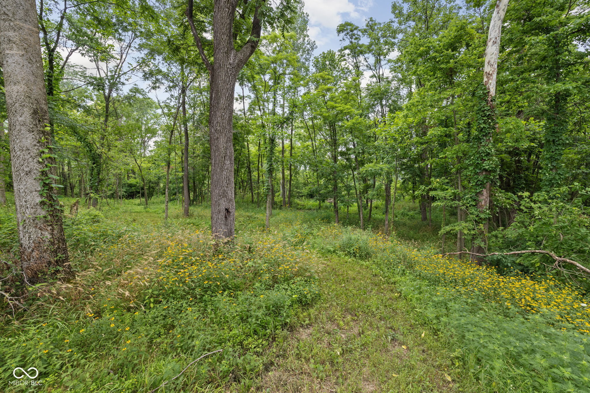 6872 E County Road 1000 N