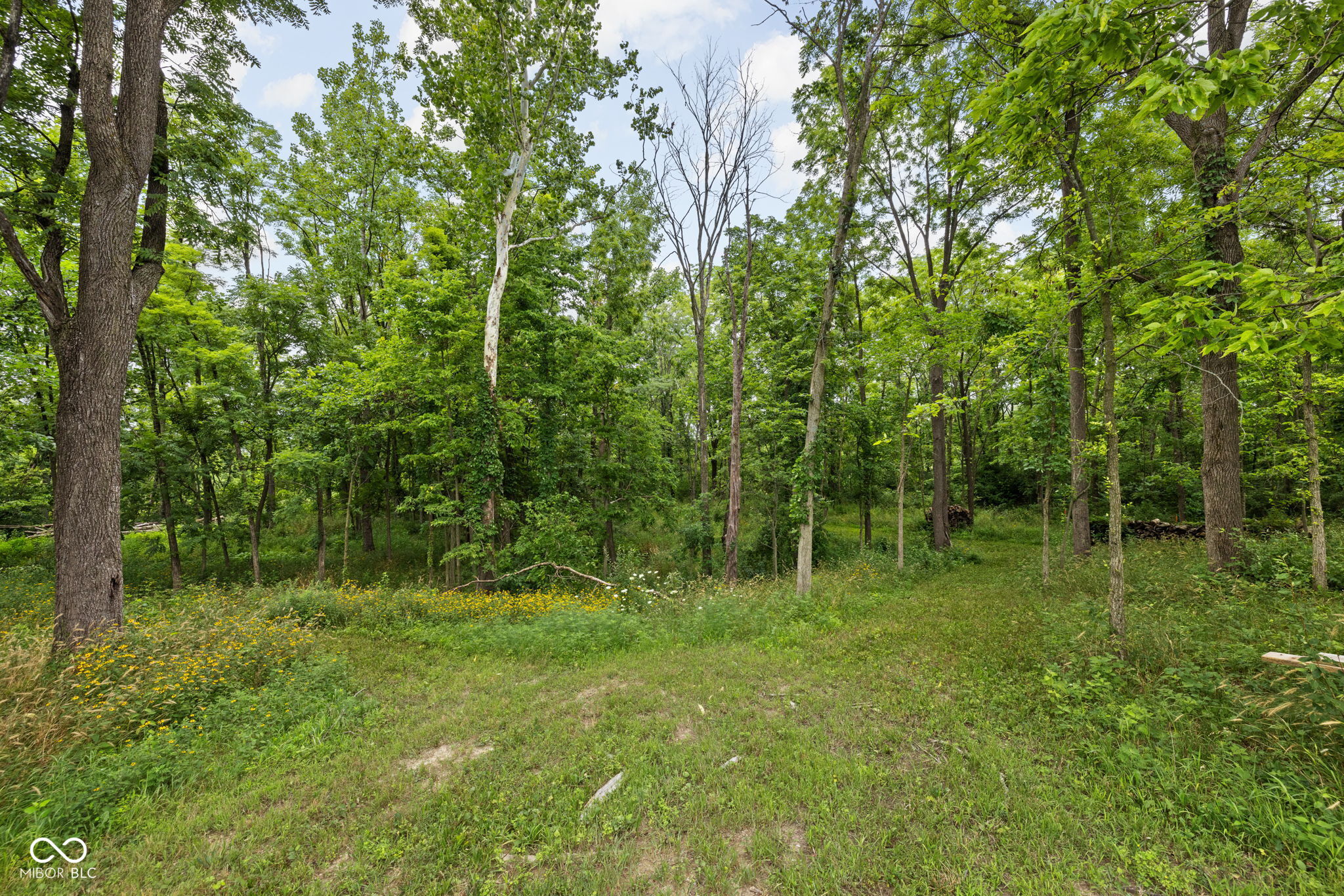 6872 E County Road 1000 N