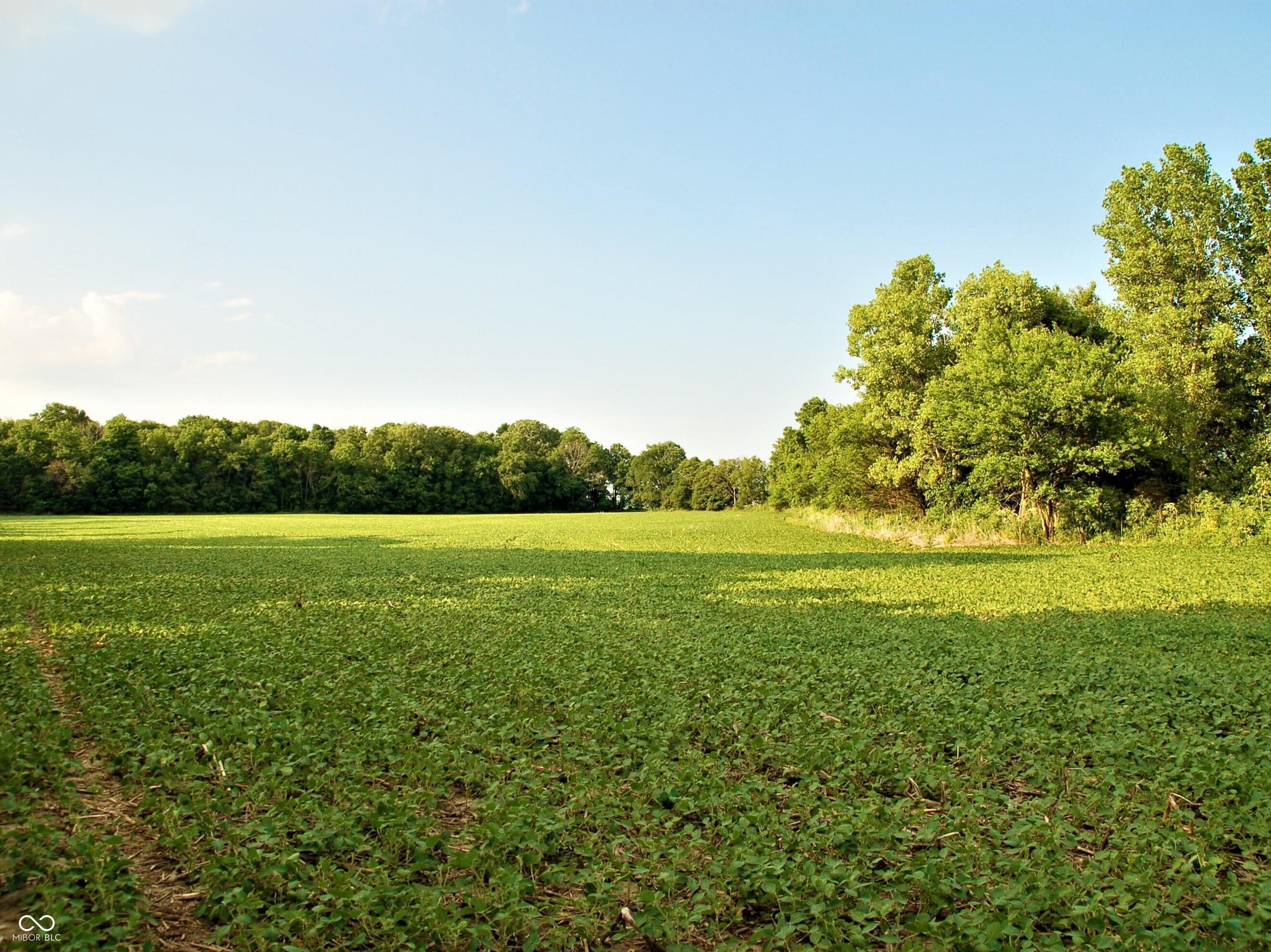 10188 E State Road 47