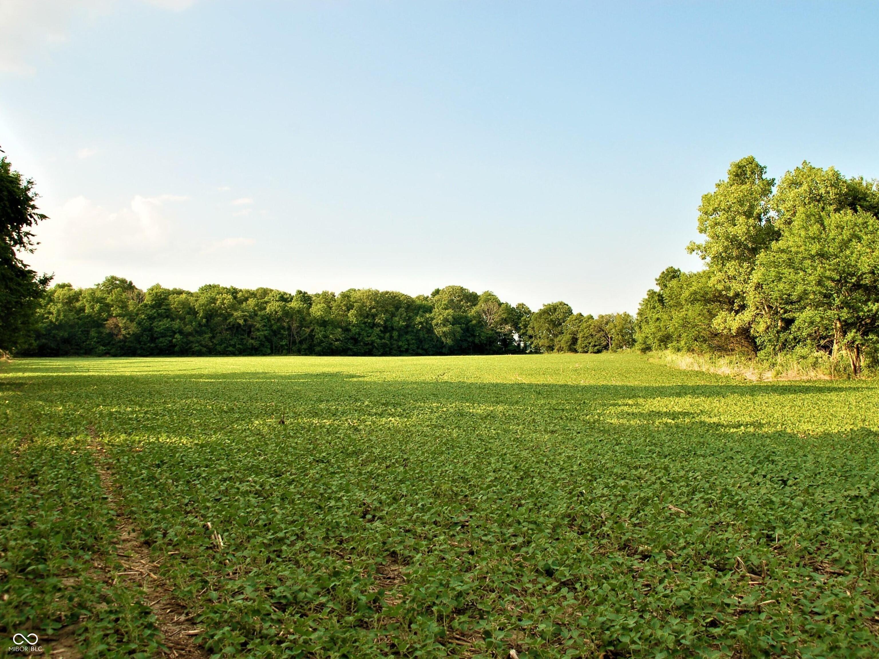 10188 E State Road 47