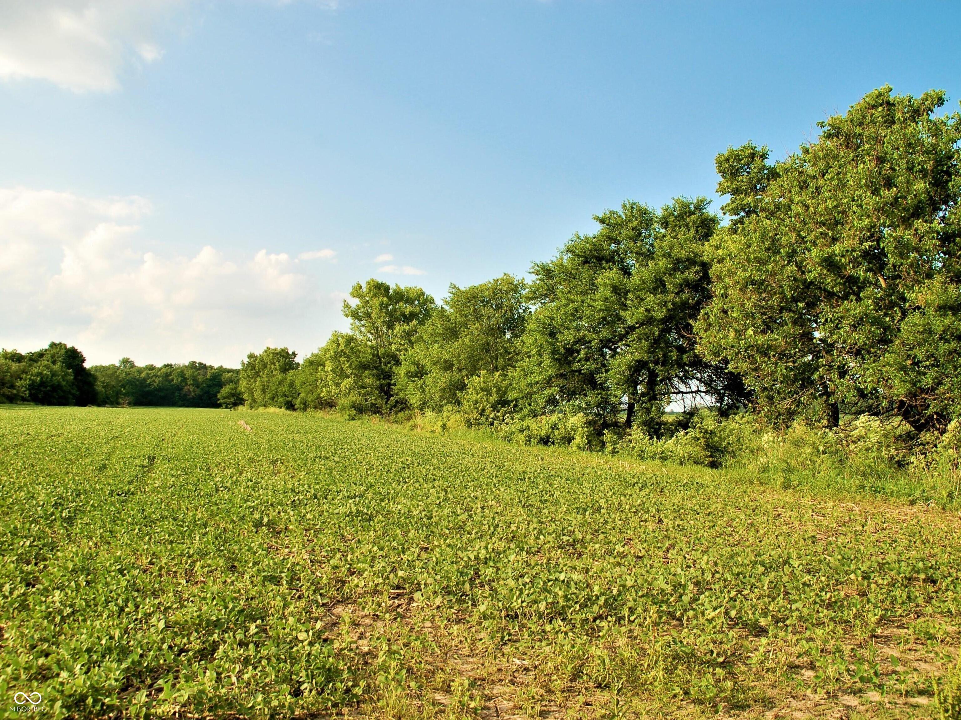 10188 E State Road 47