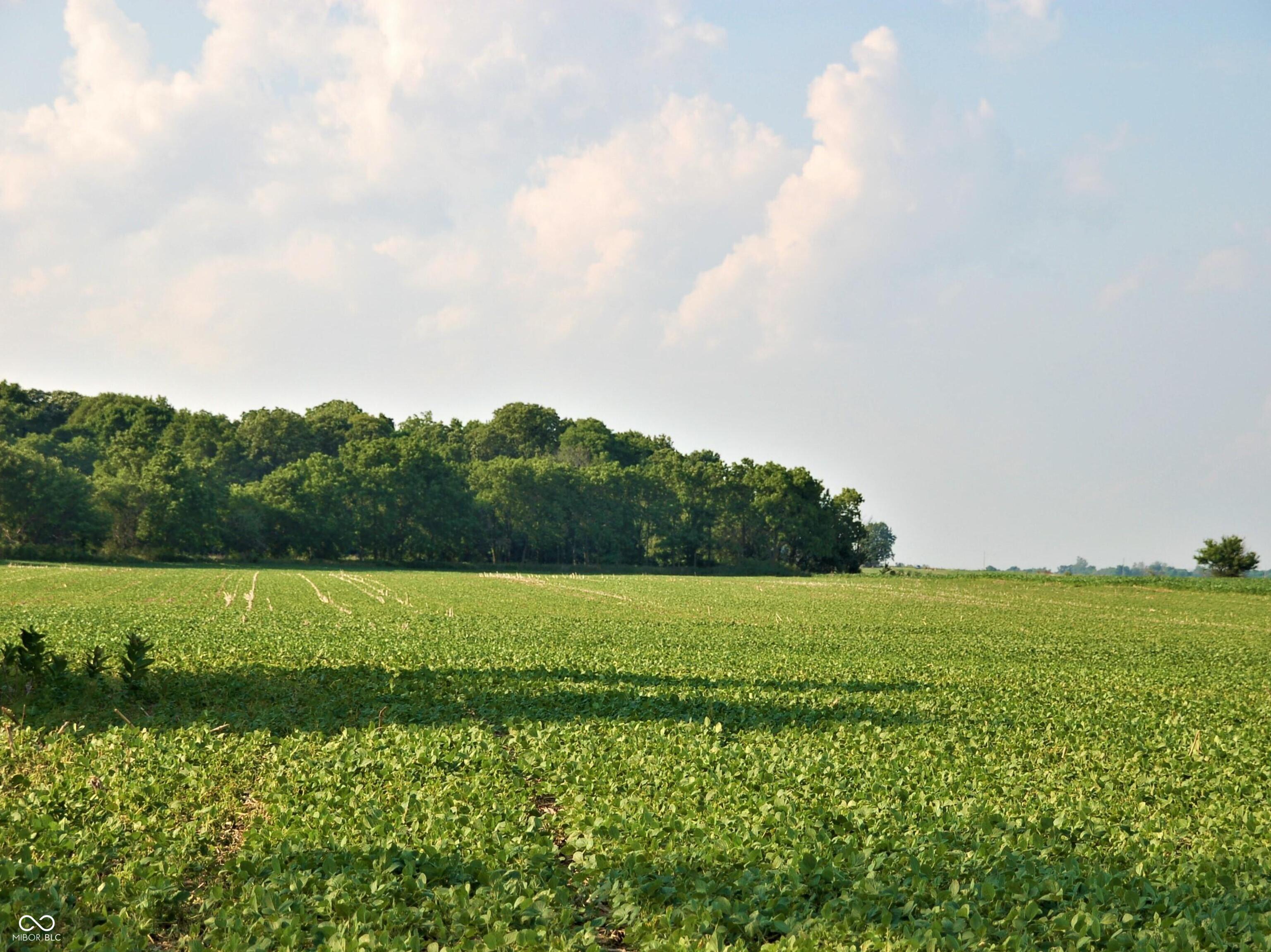 10188 E State Road 47