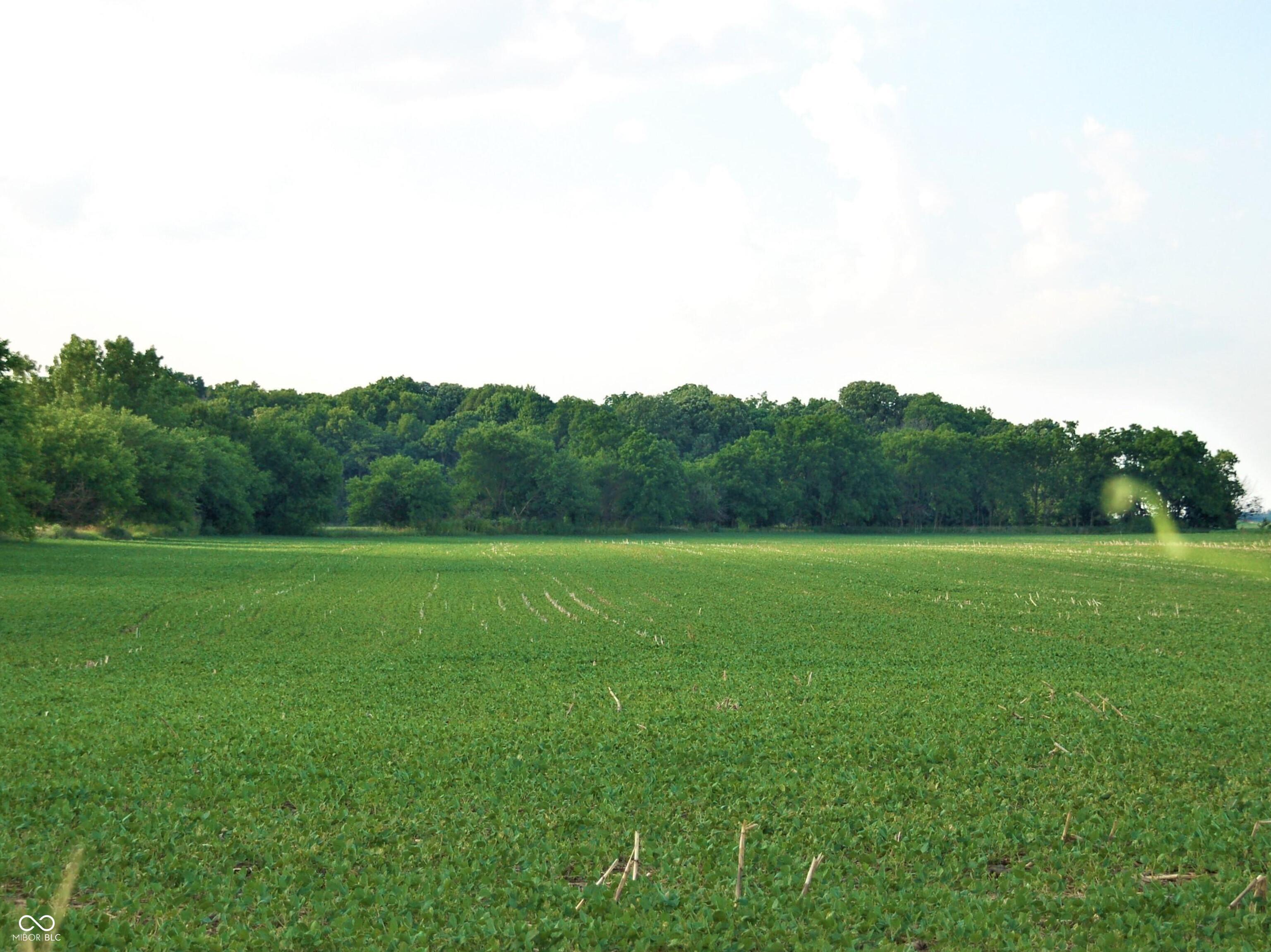 10188 E State Road 47