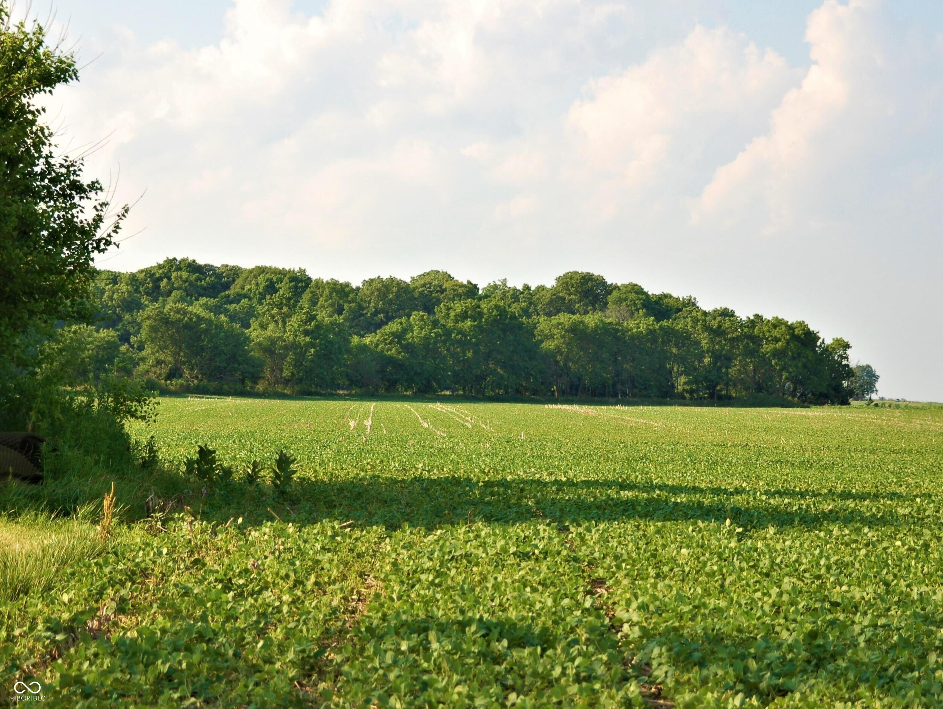 10188 E State Road 47