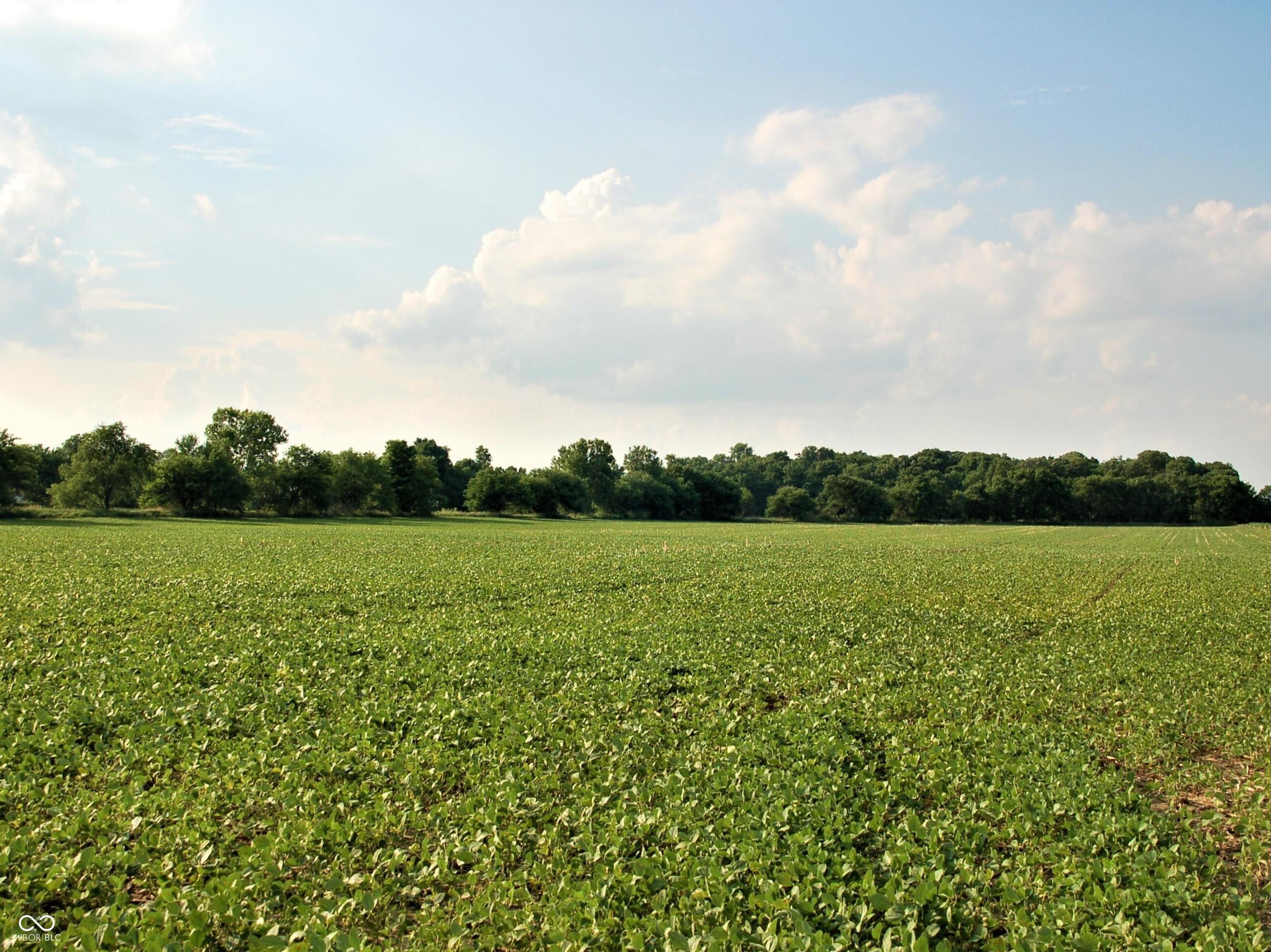 10188 E State Road 47