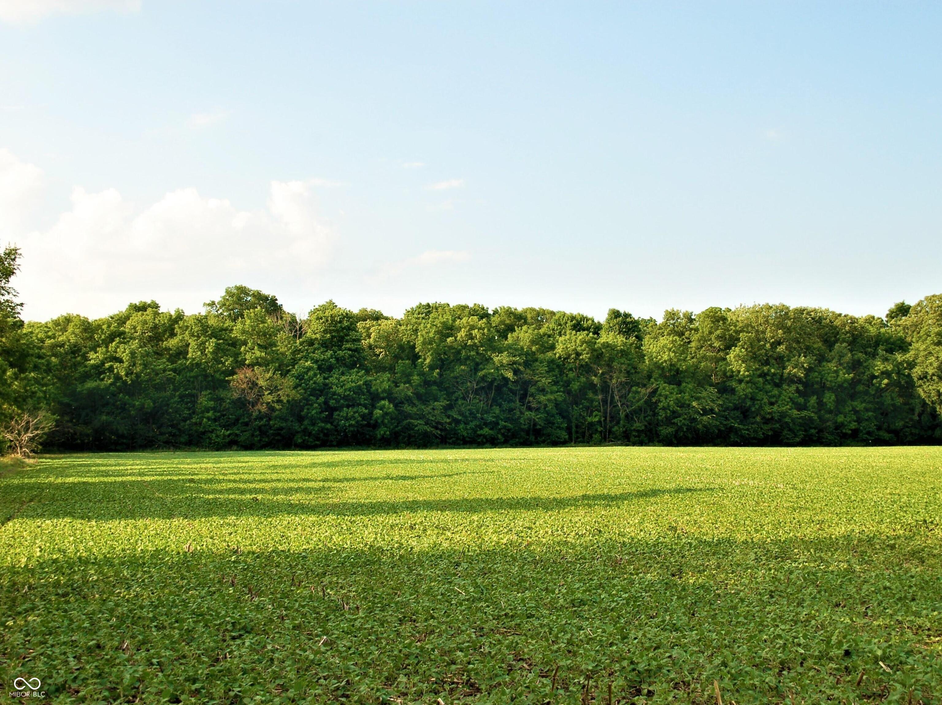 10188 E State Road 47