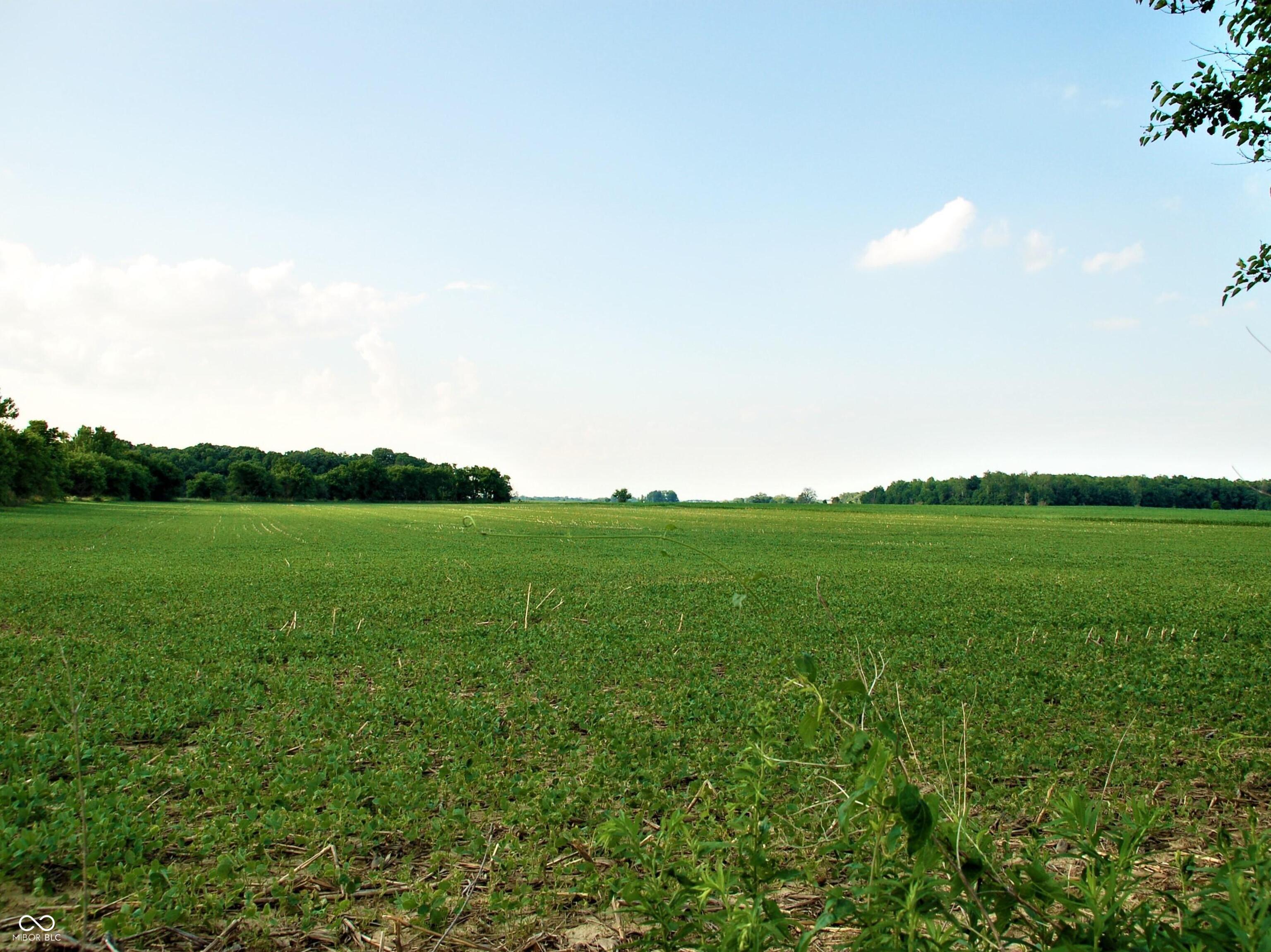 10188 E State Road 47