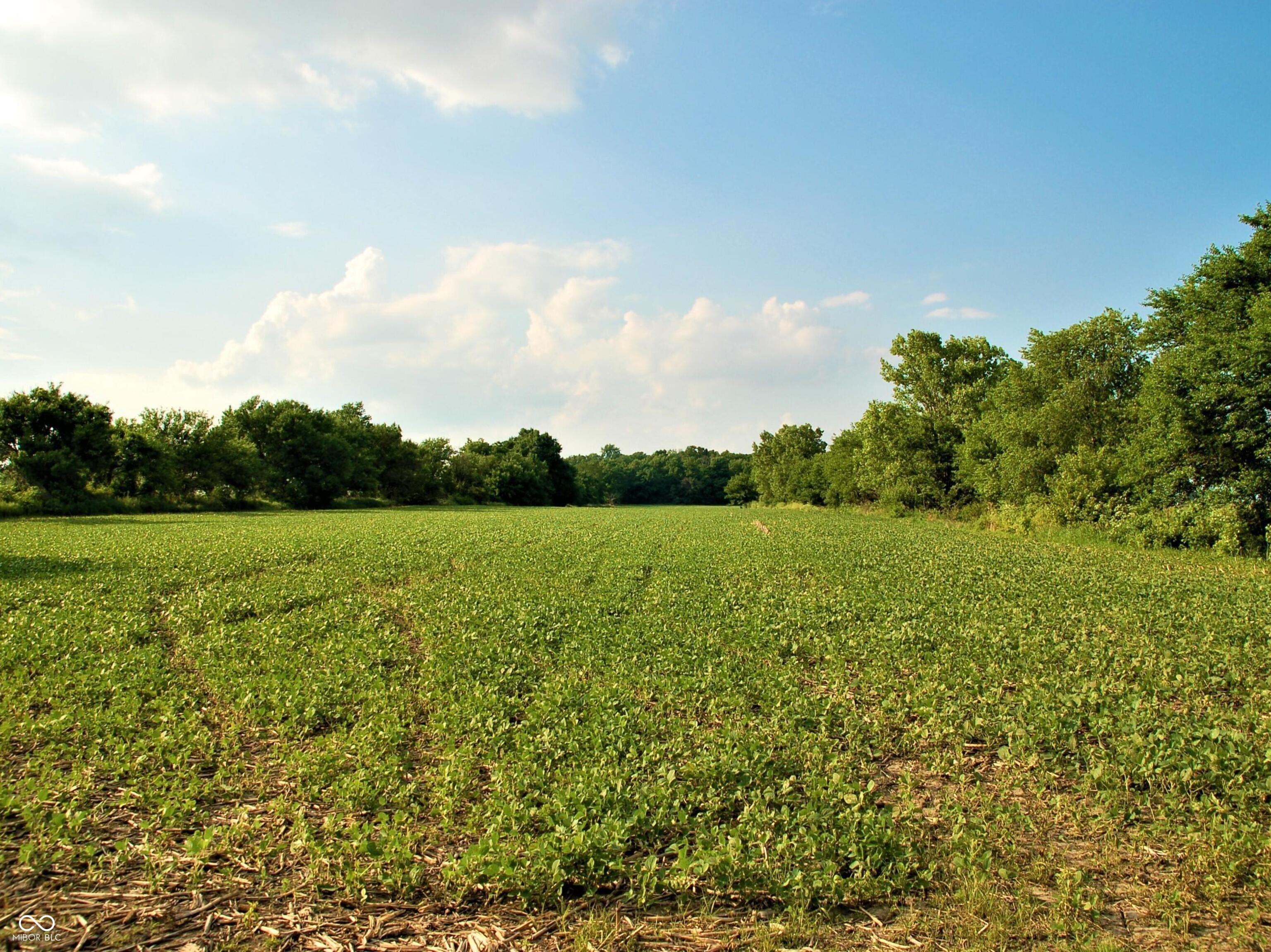 10188 E State Road 47