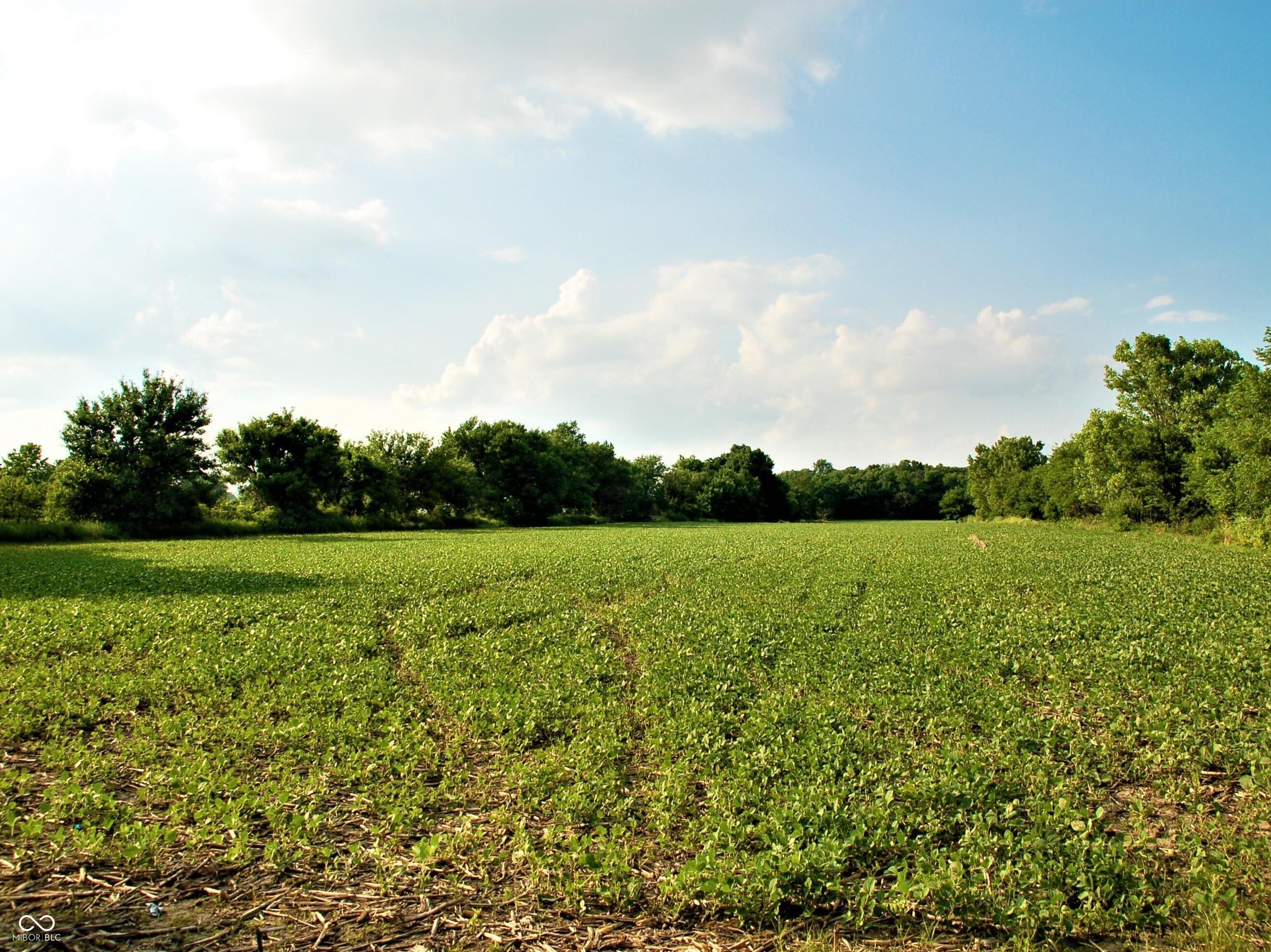 10188 E State Road 47