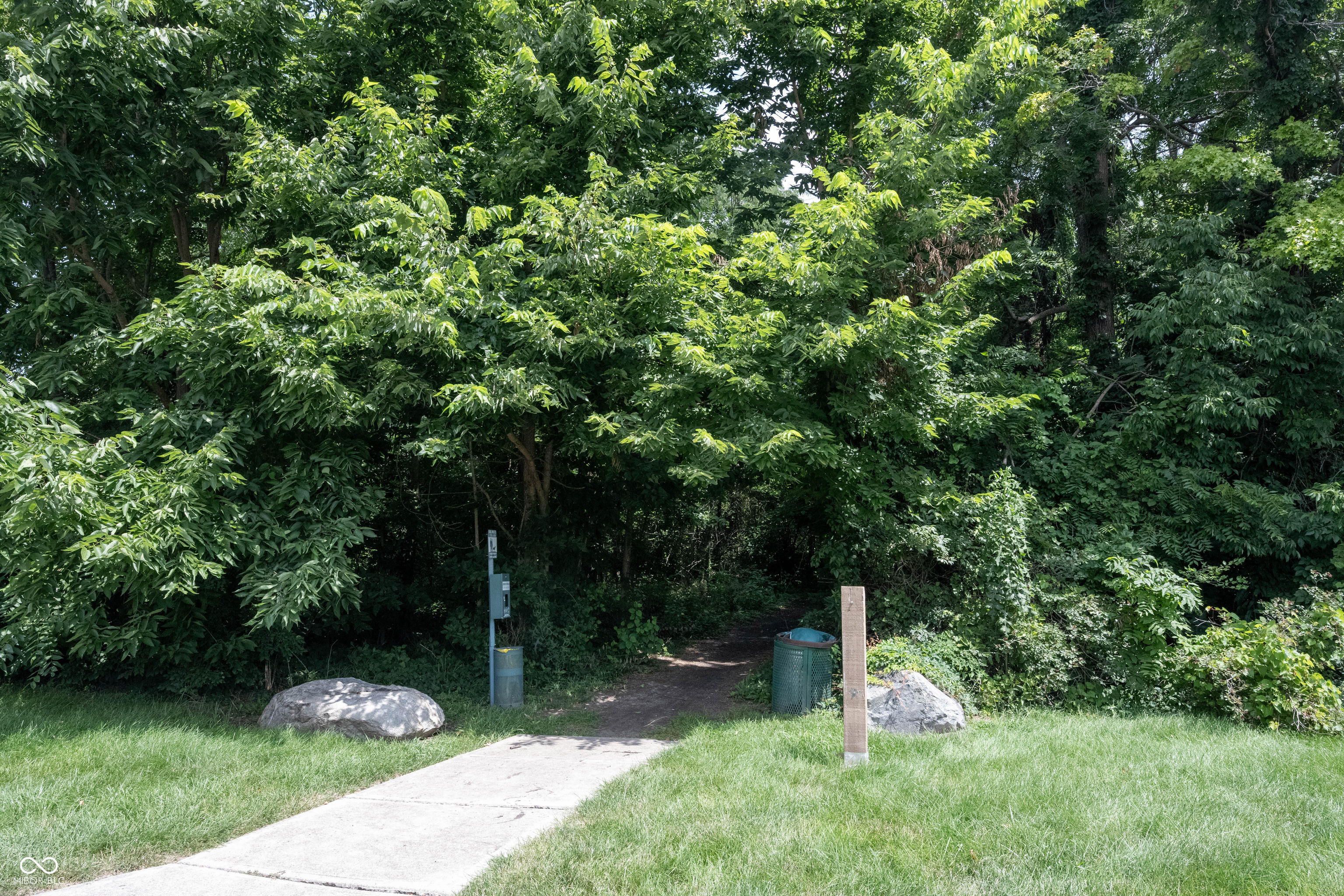 14399 Forsythia Lane