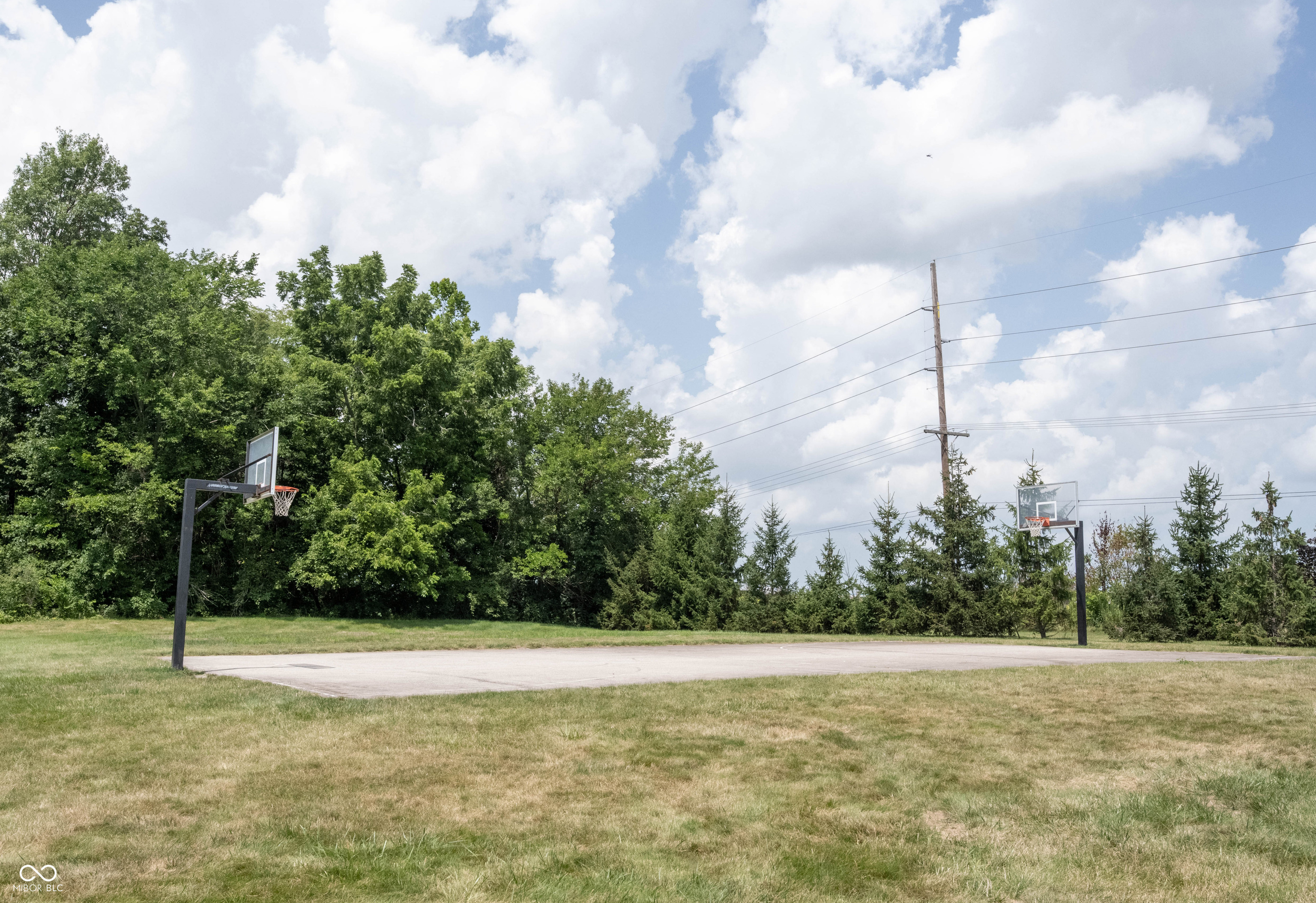 14399 Forsythia Lane