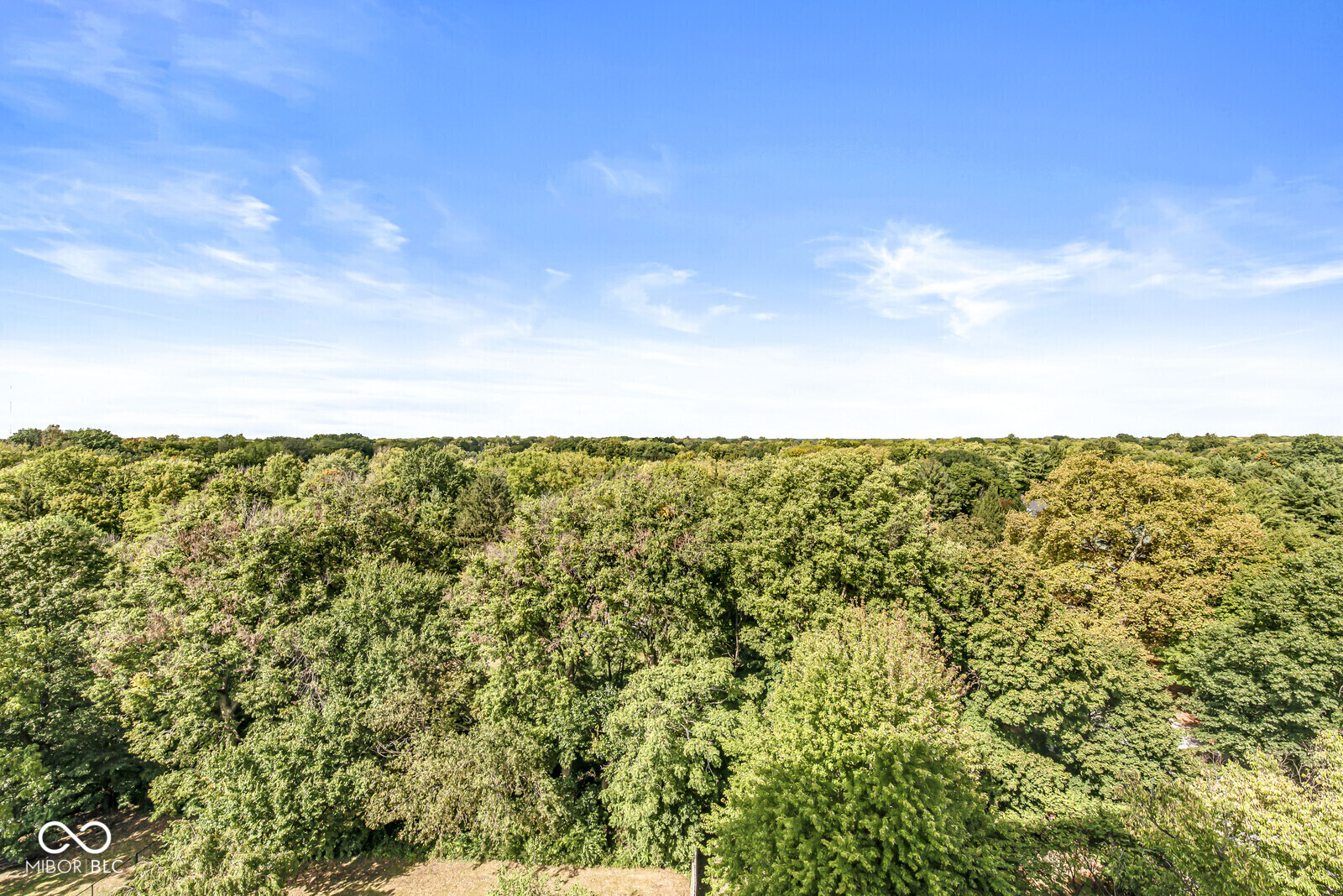 4000 N Meridian Street Unit: APT 11D