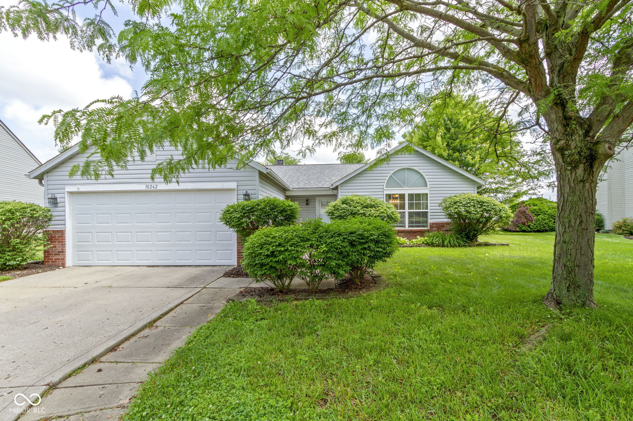 10262 Carmine Drive
