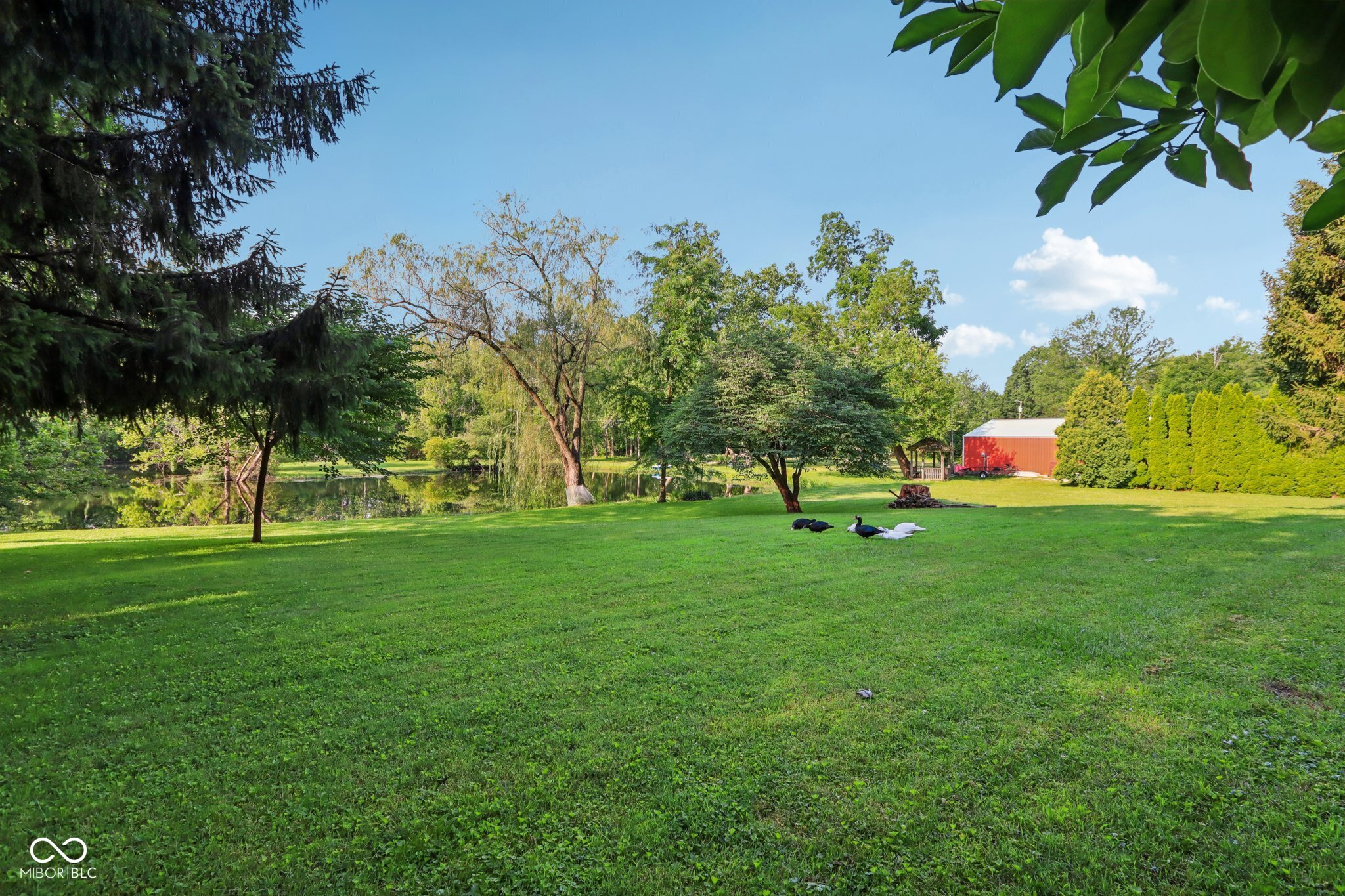 3265 Tulip Drive