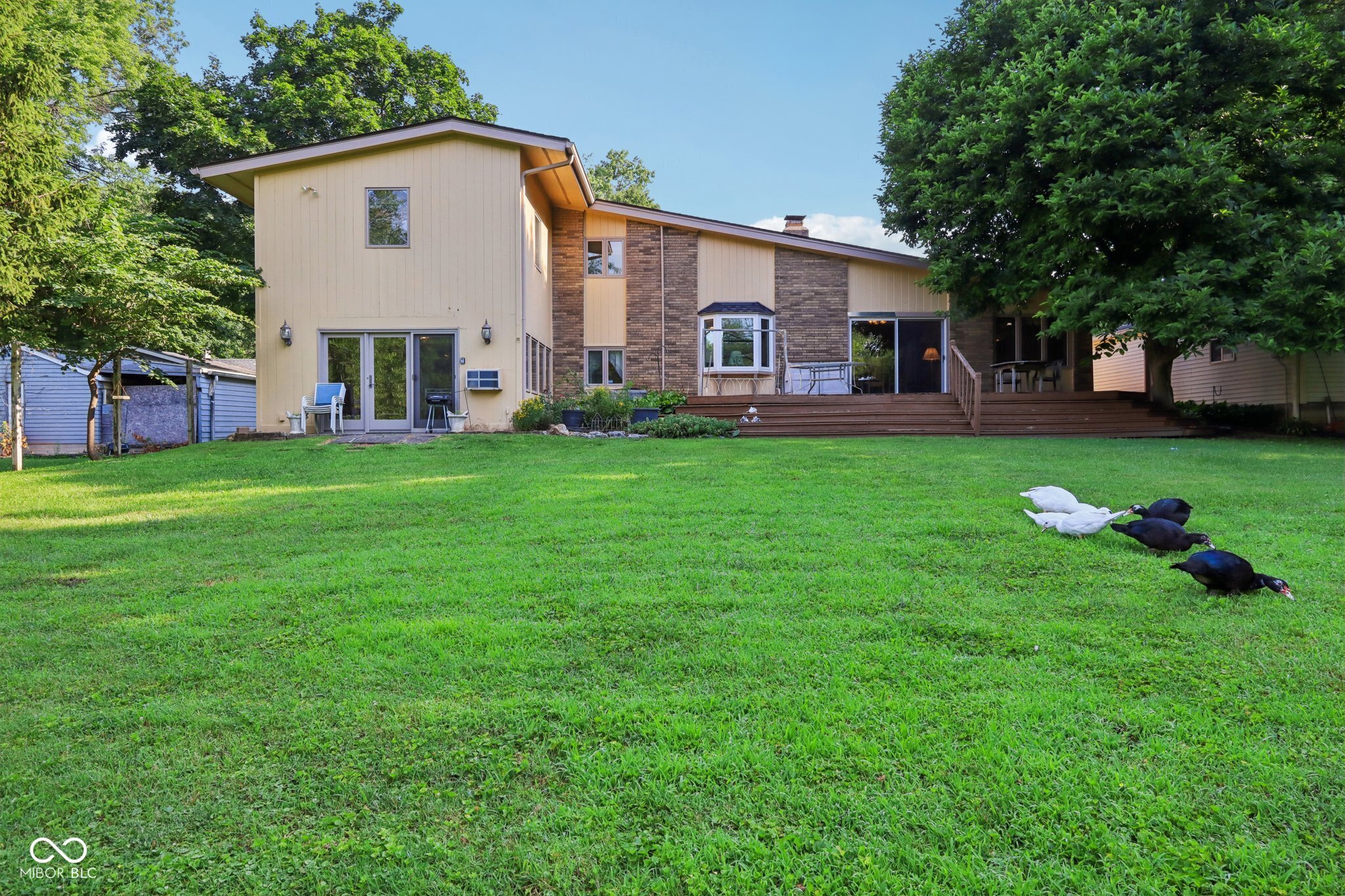 3265 Tulip Drive