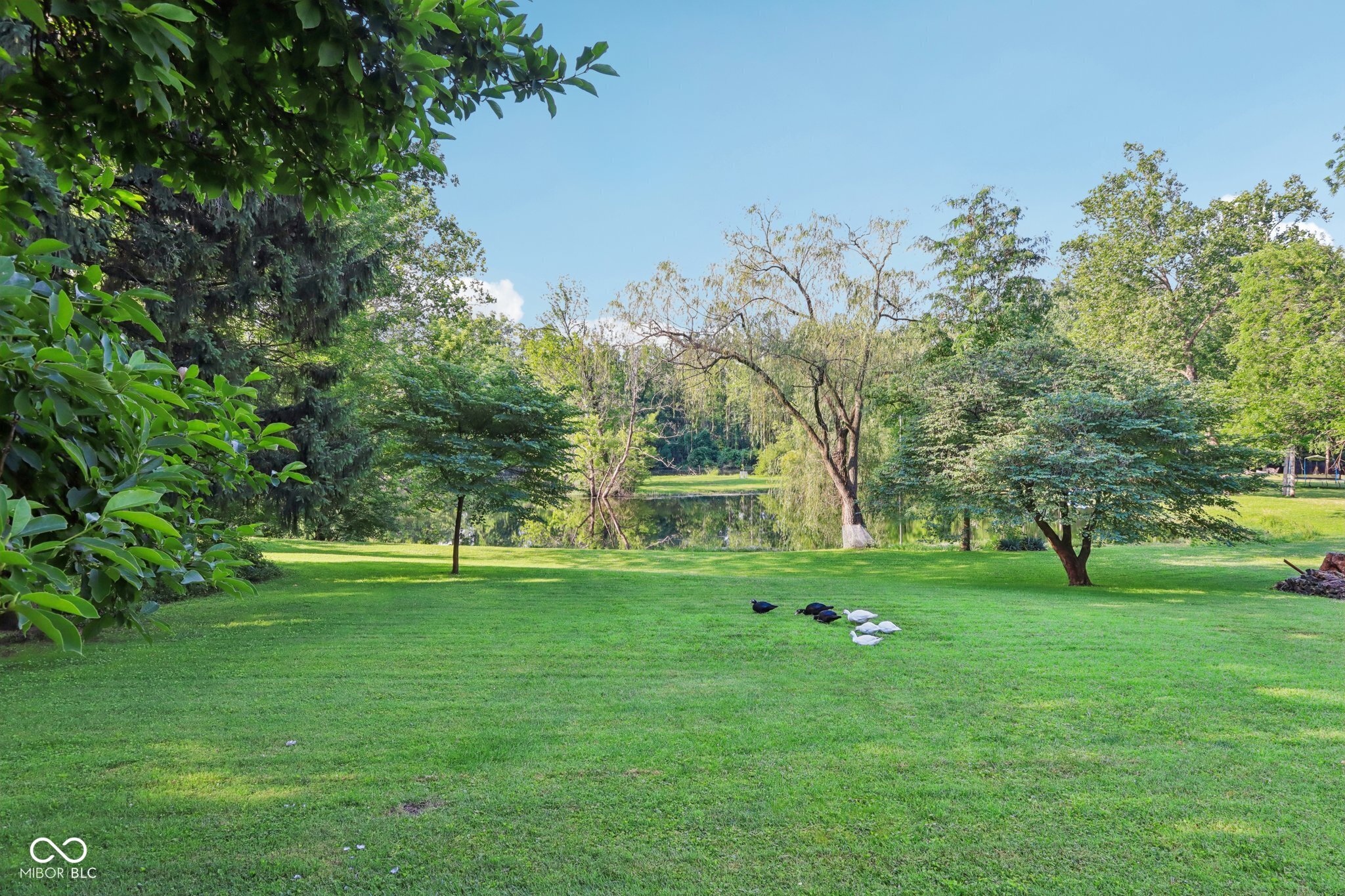 3265 Tulip Drive