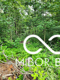 1301 N County Road 650 E