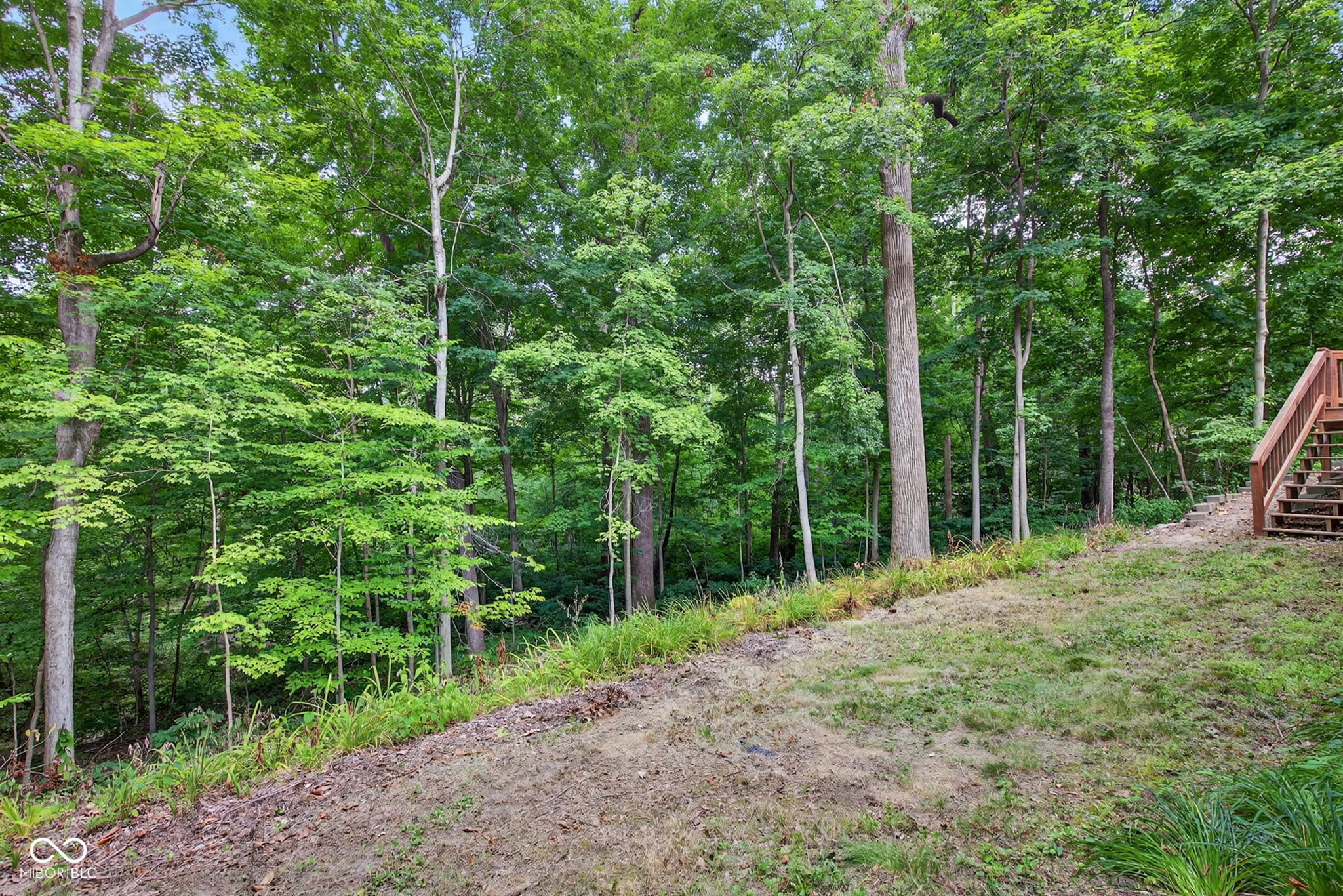 12551 Walnut Ridge Place