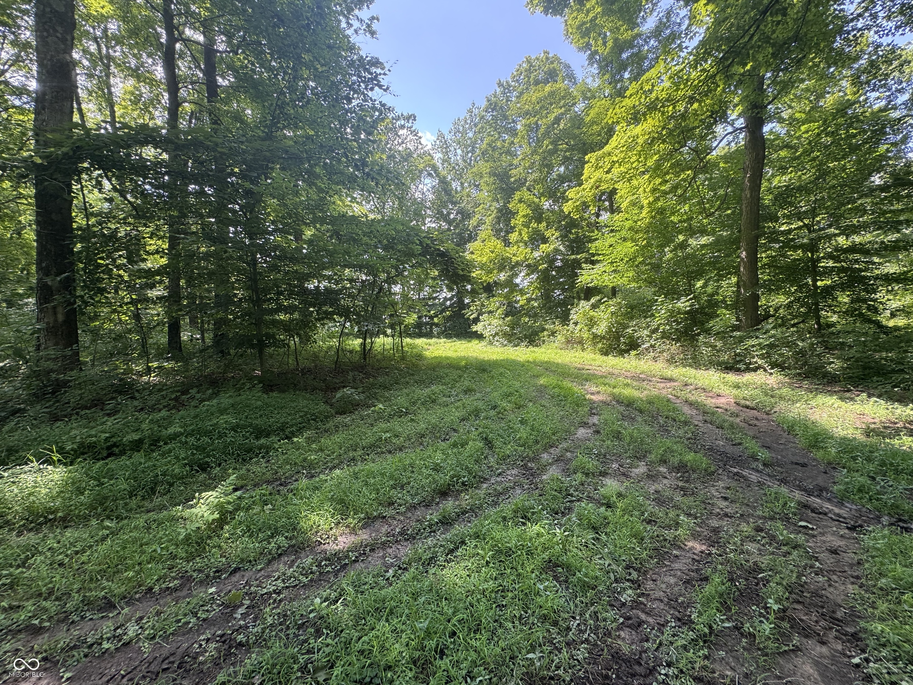 8270 W Chafin Chapel Road