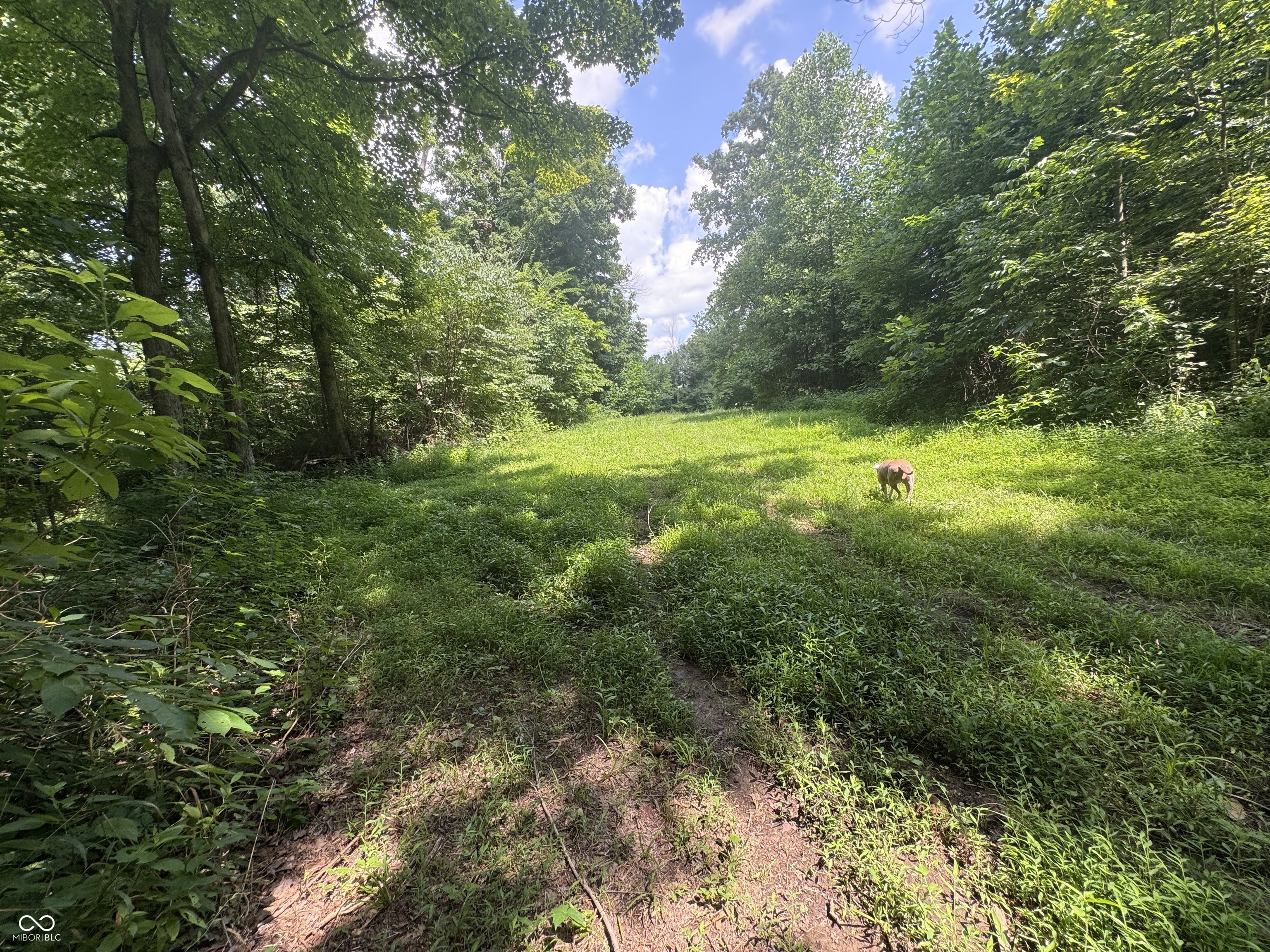 8270 W Chafin Chapel Road