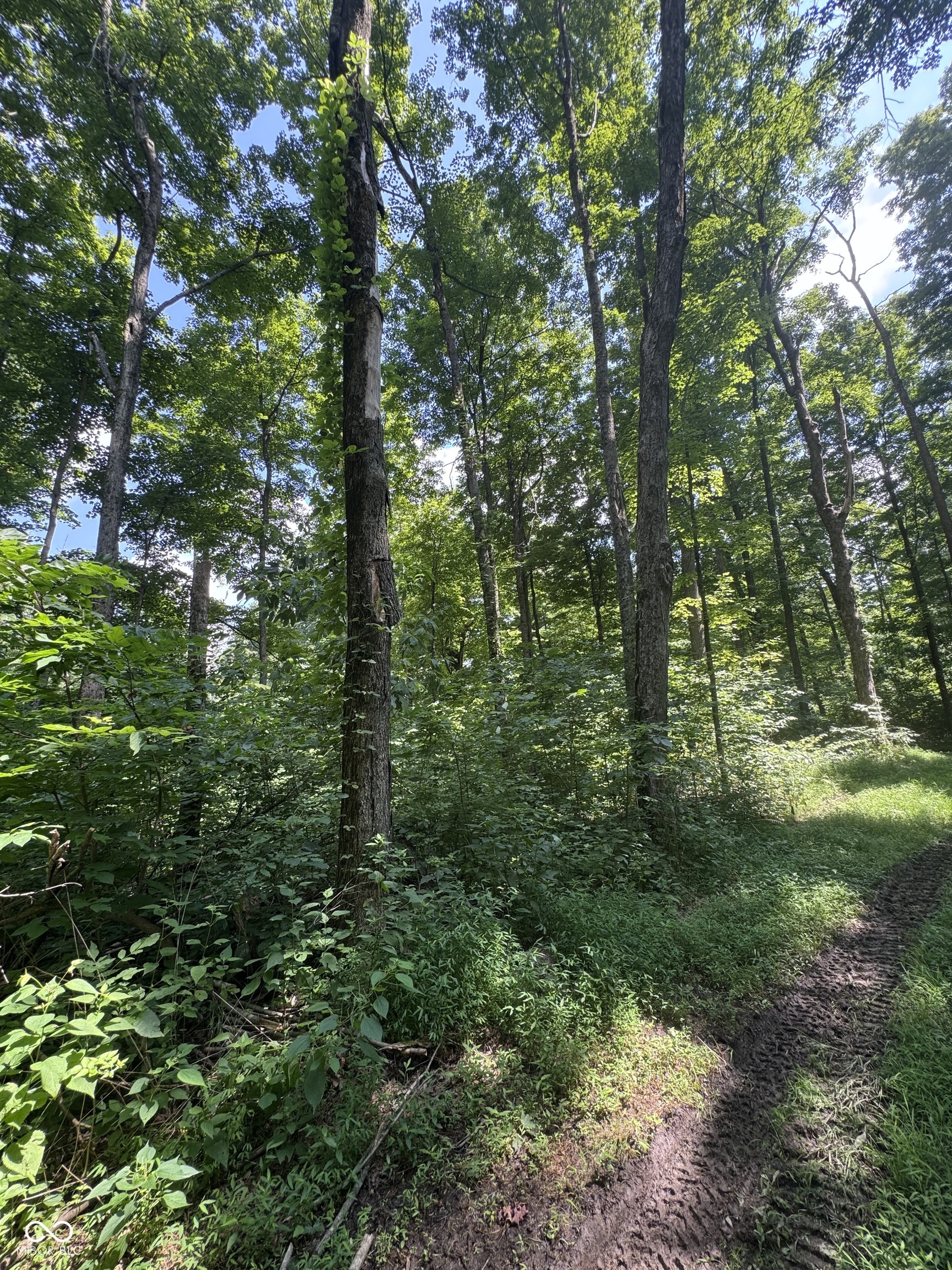 8270 W Chafin Chapel Road