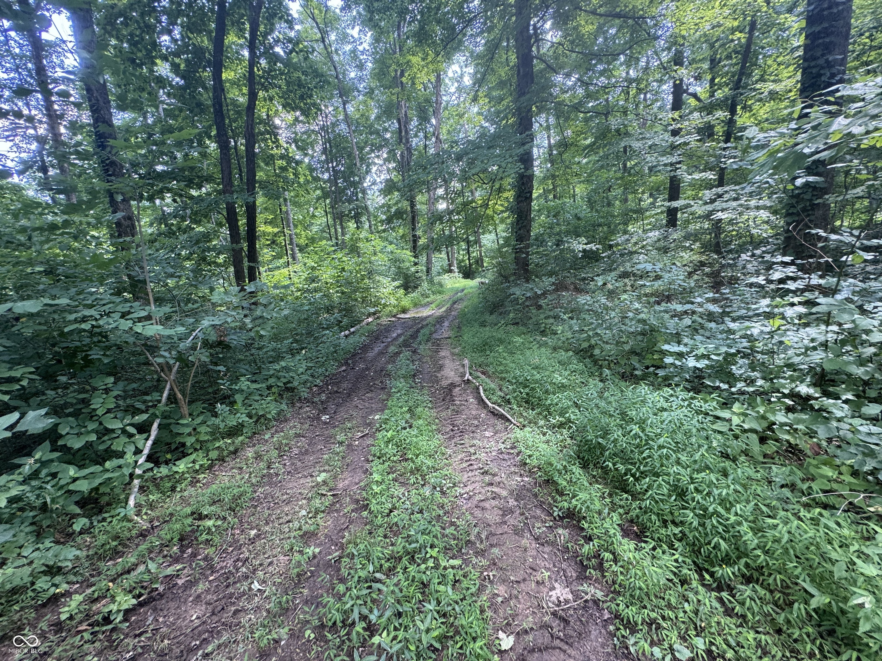 8270 W Chafin Chapel Road