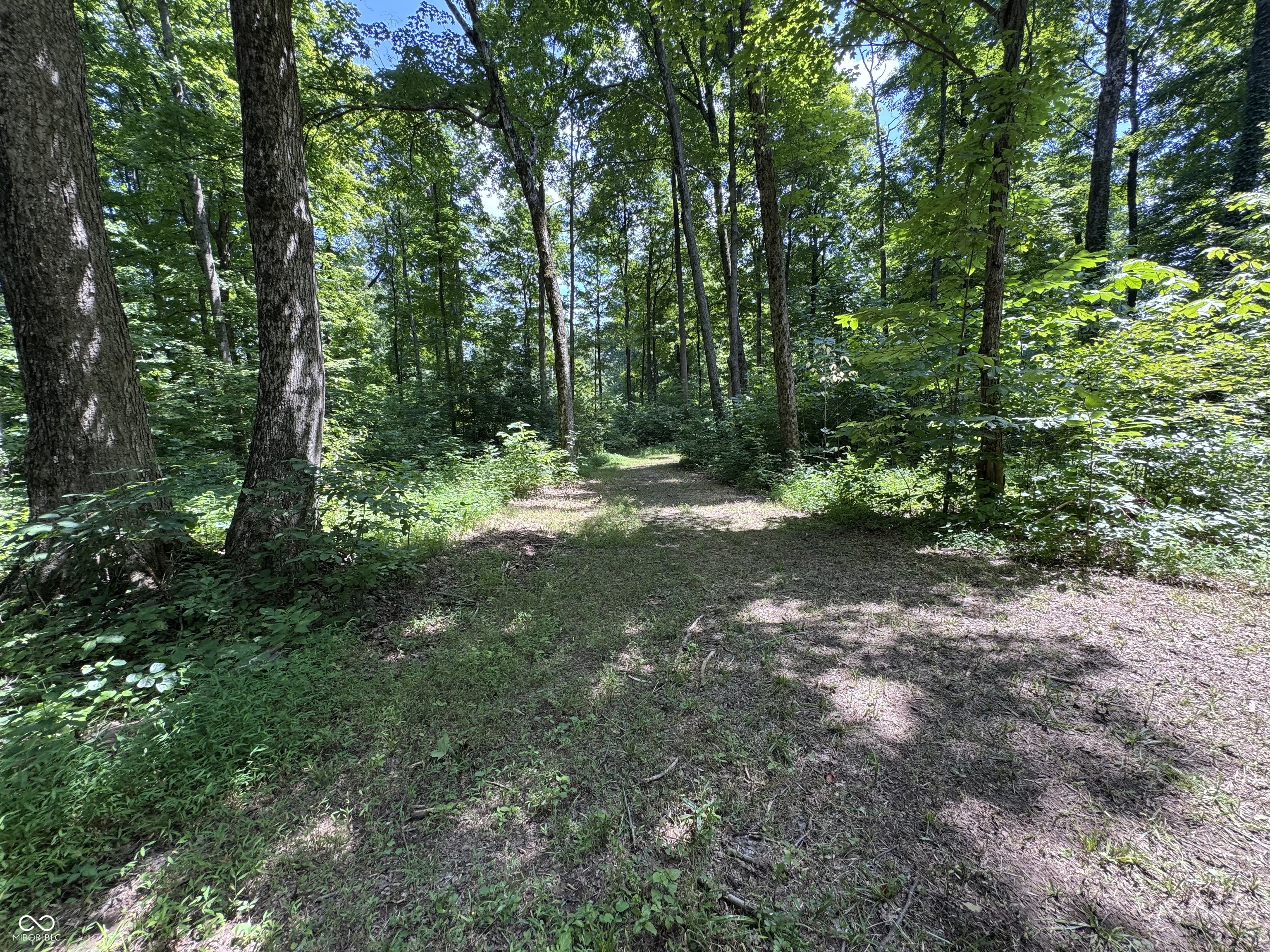 8270 W Chafin Chapel Road