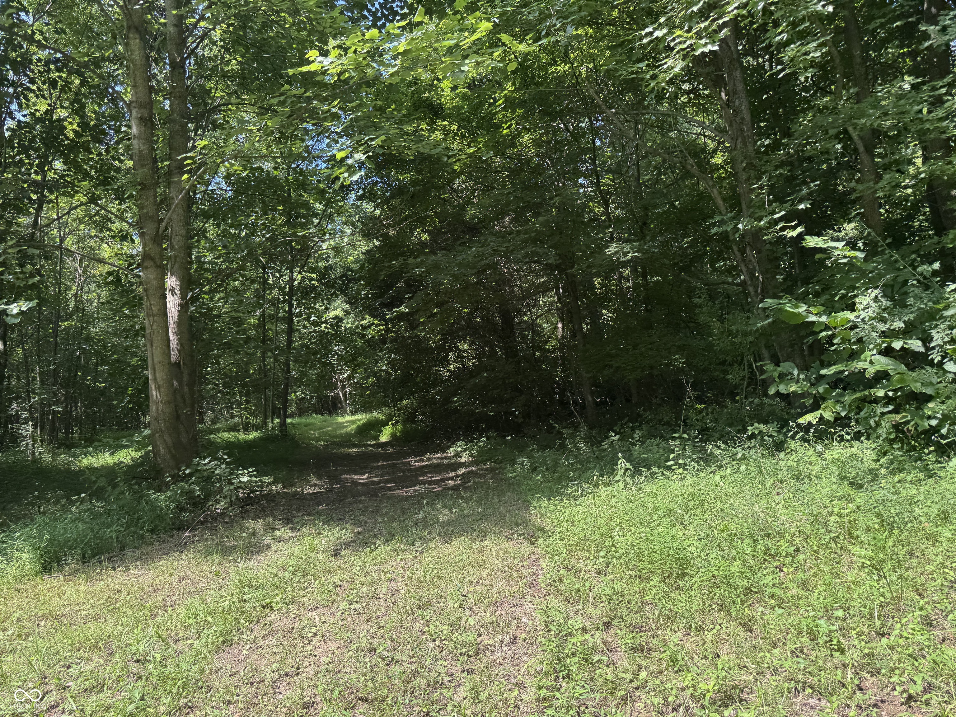 8270 W Chafin Chapel Road