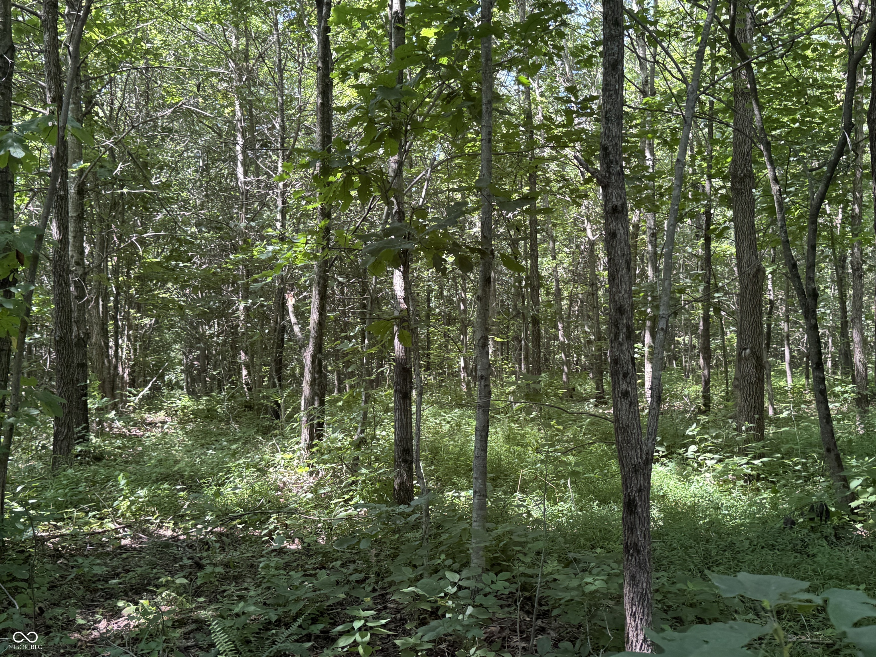 8270 W Chafin Chapel Road