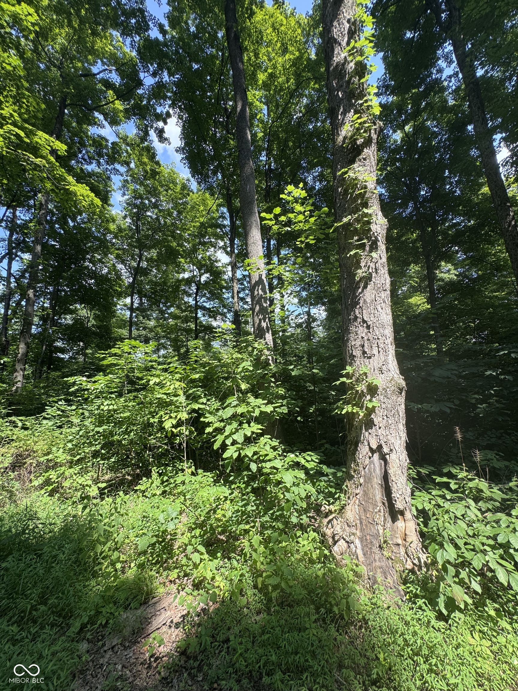 8270 W Chafin Chapel Road