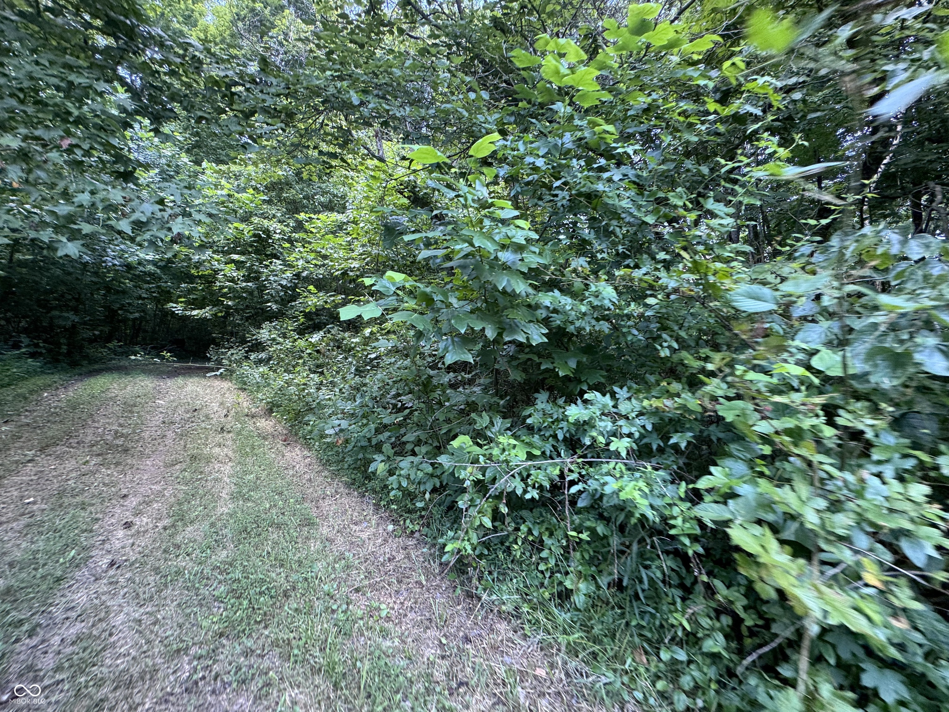 8270 W Chafin Chapel Road