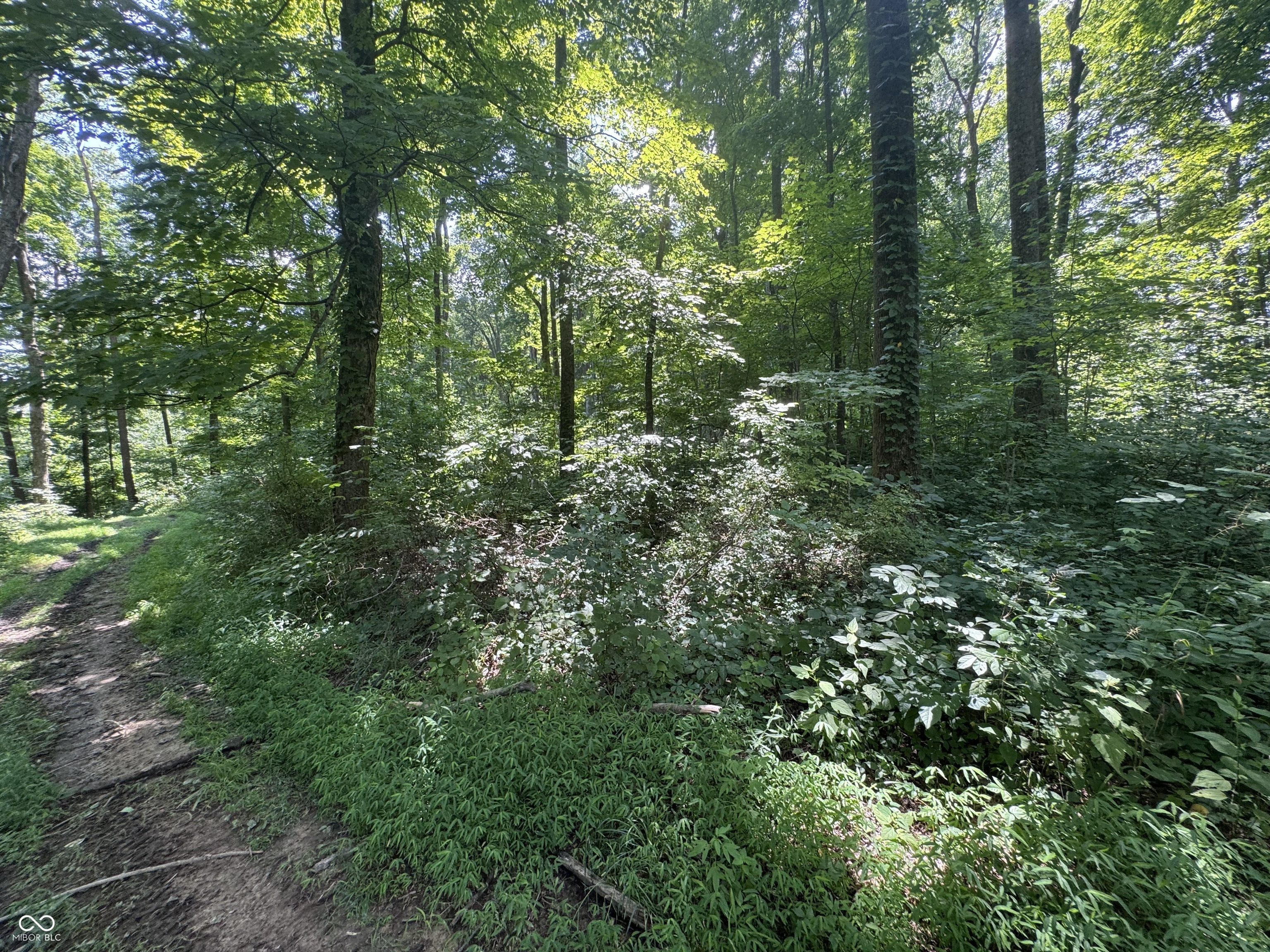 8270 W Chafin Chapel Road