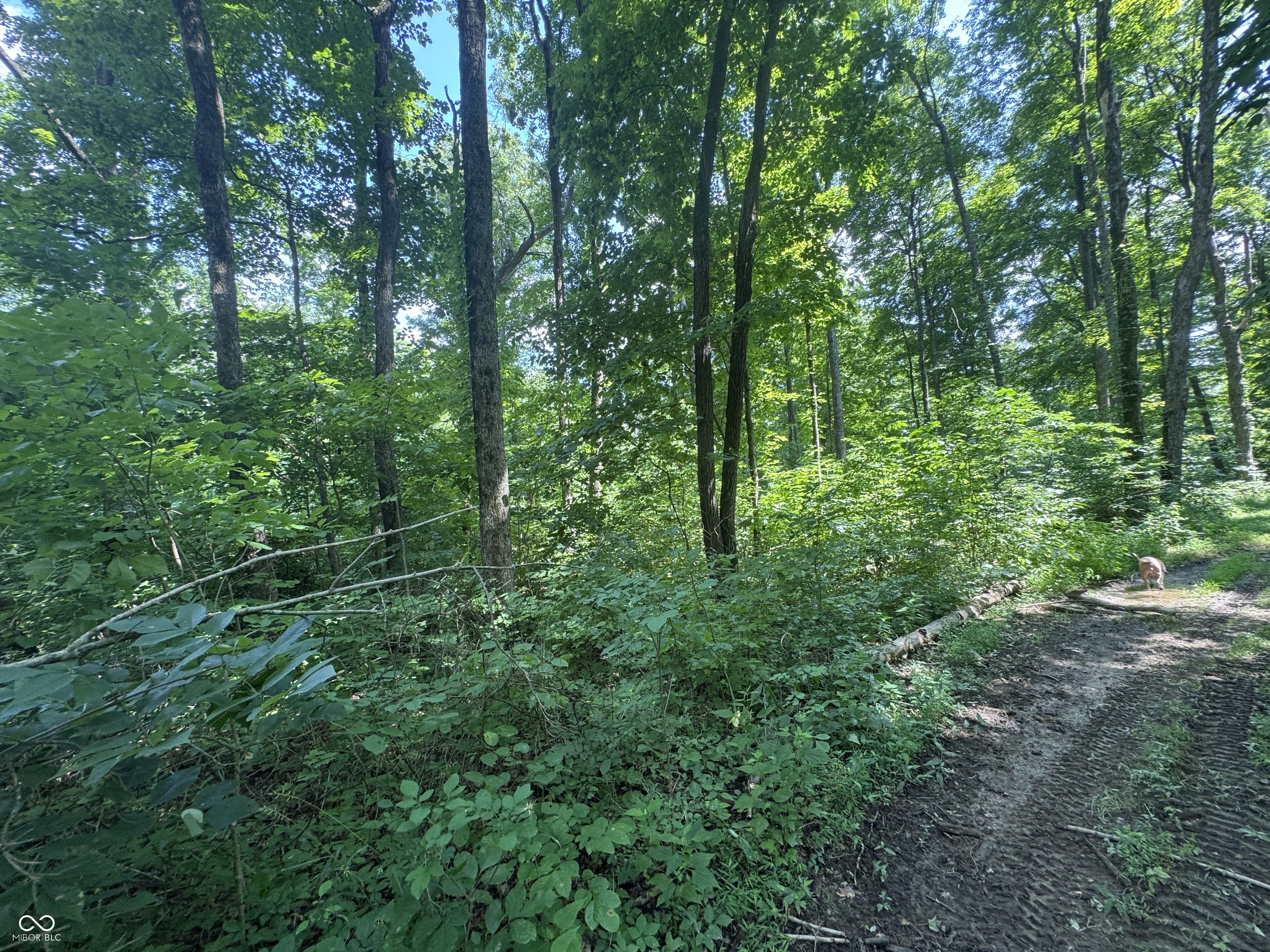 8270 W Chafin Chapel Road