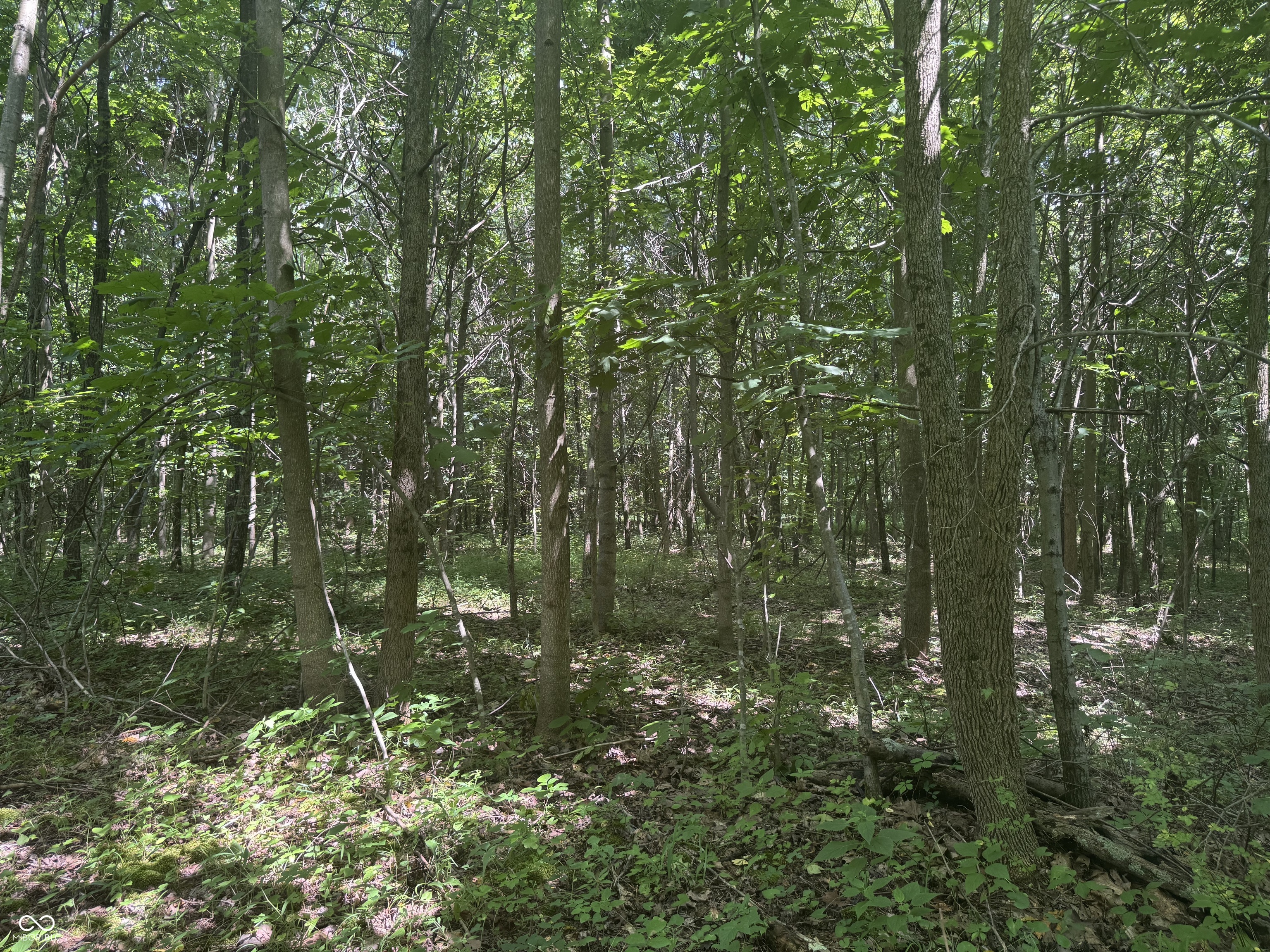 8270 W Chafin Chapel Road