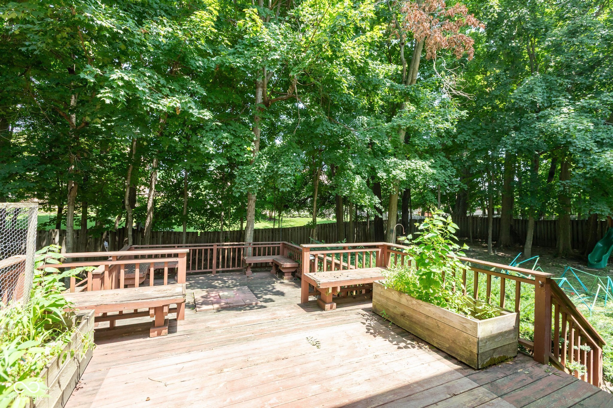 1438 Spruce Drive