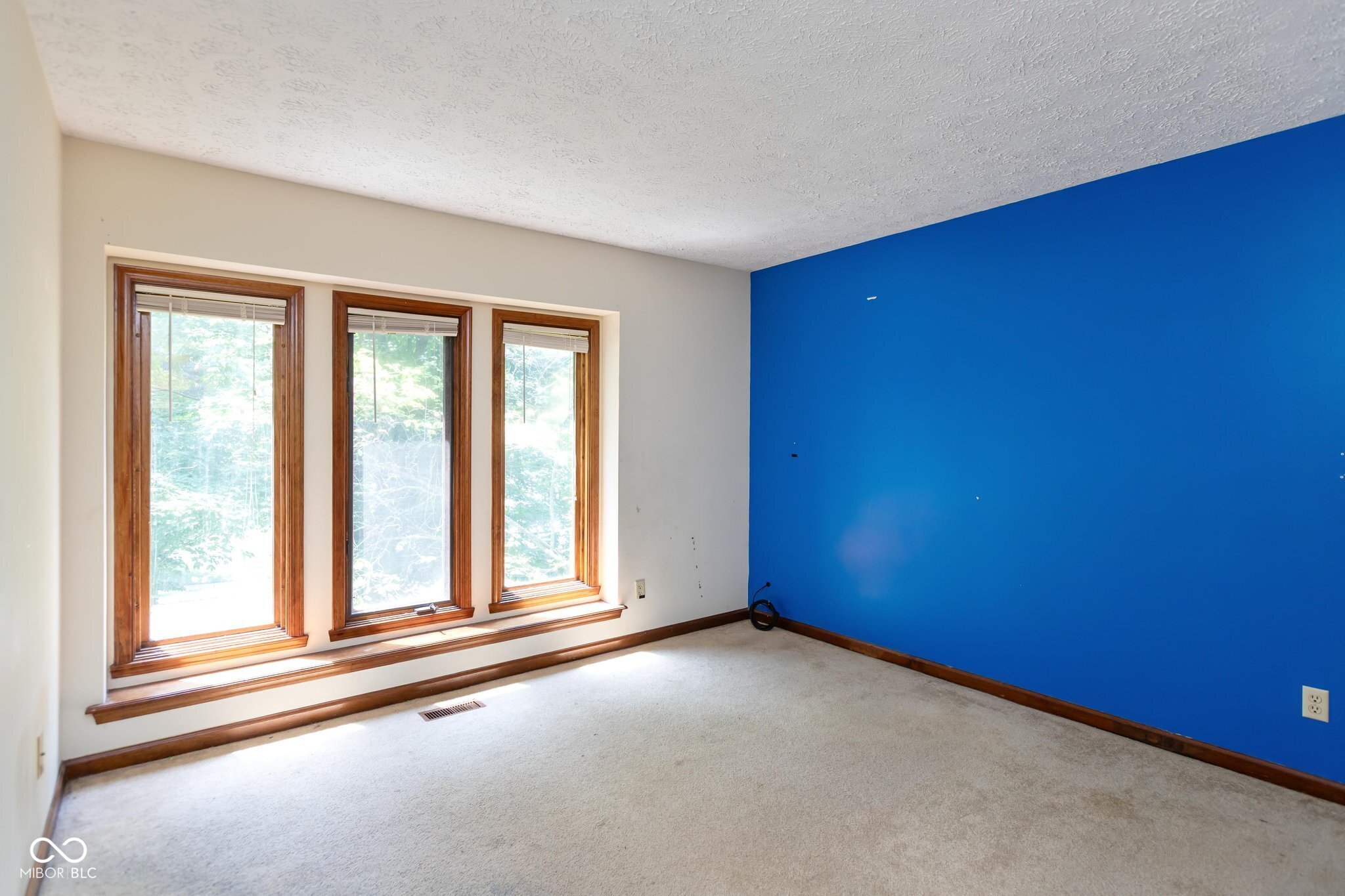 1438 Spruce Drive