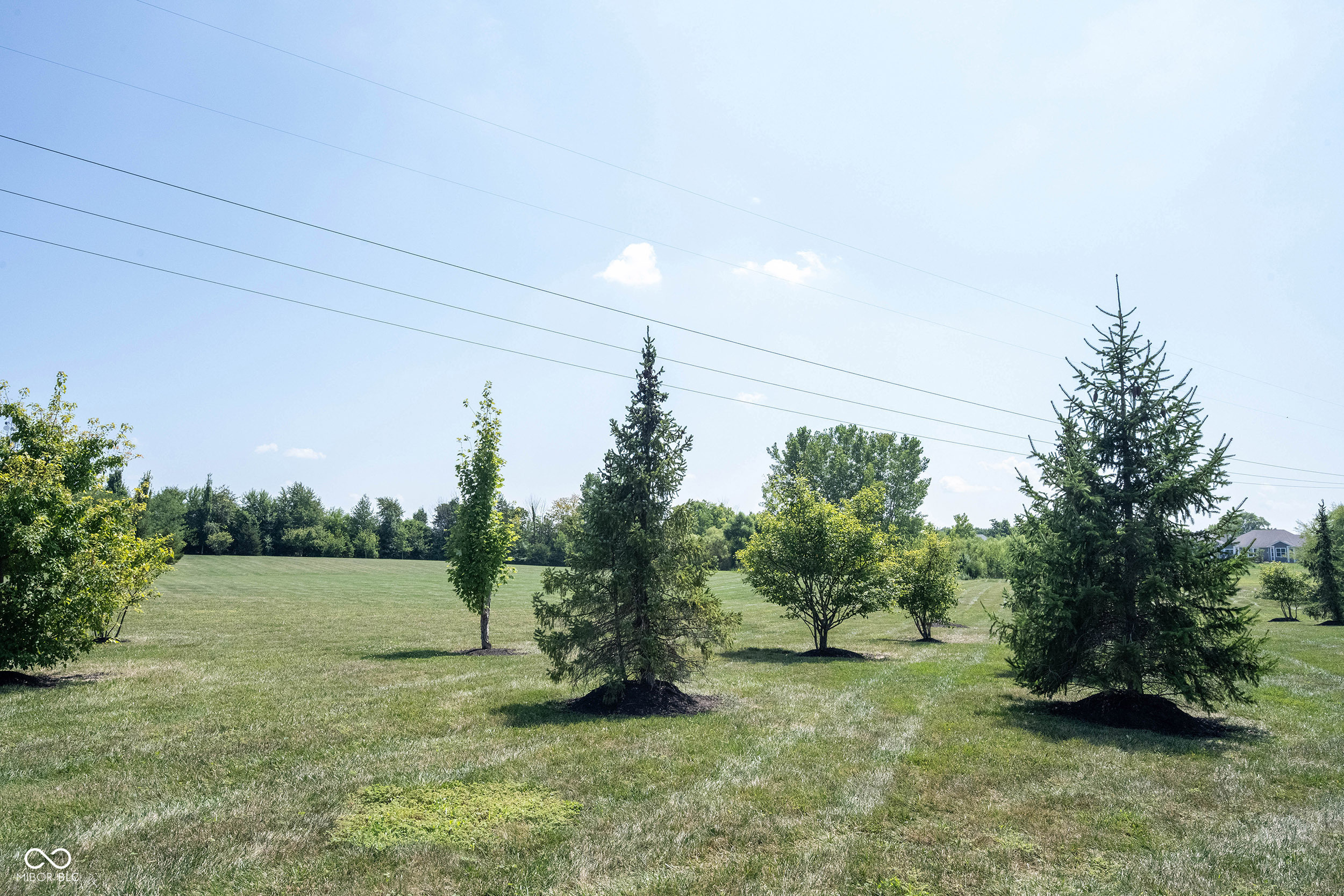 10389 Blue Ribbon Boulevard