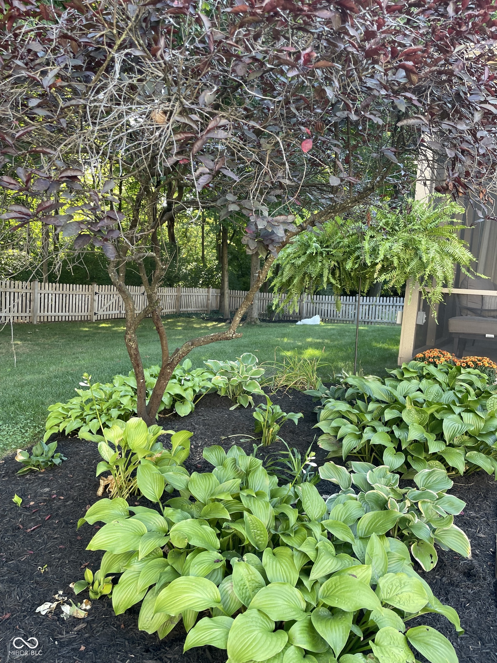 10813 Sawgrass Drive