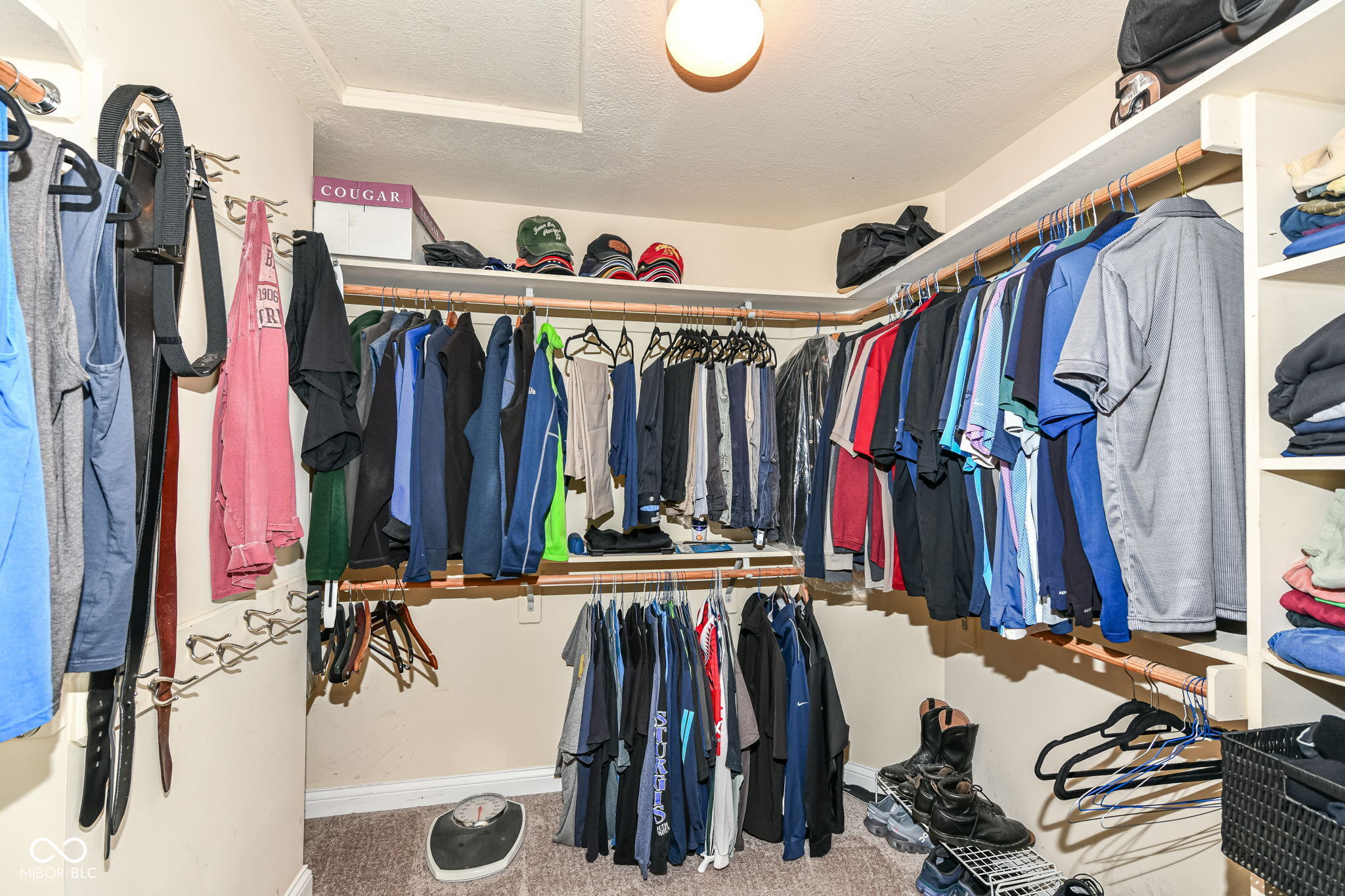 14494 Christie Ann Drive