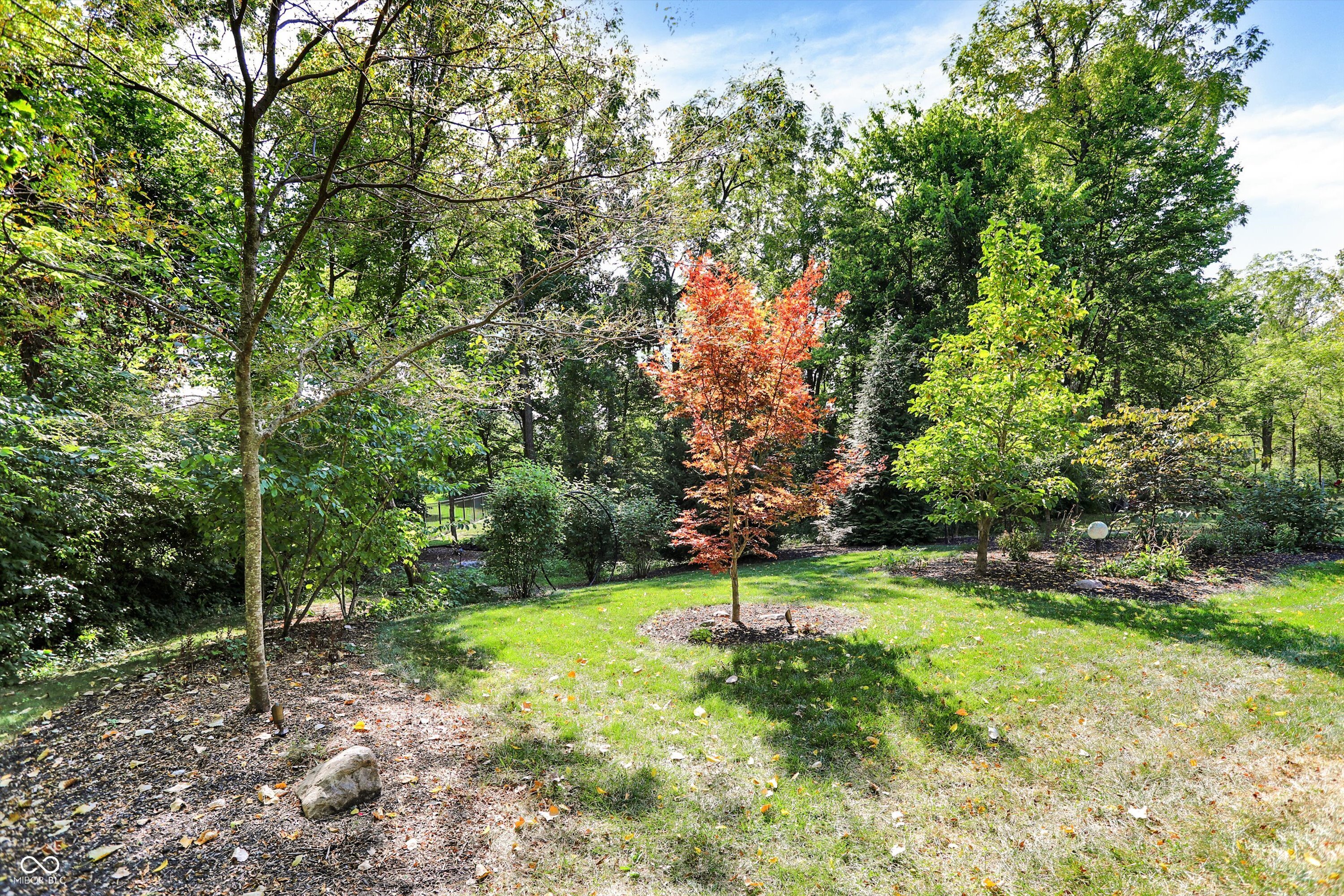 3937 Bear Creek Way
