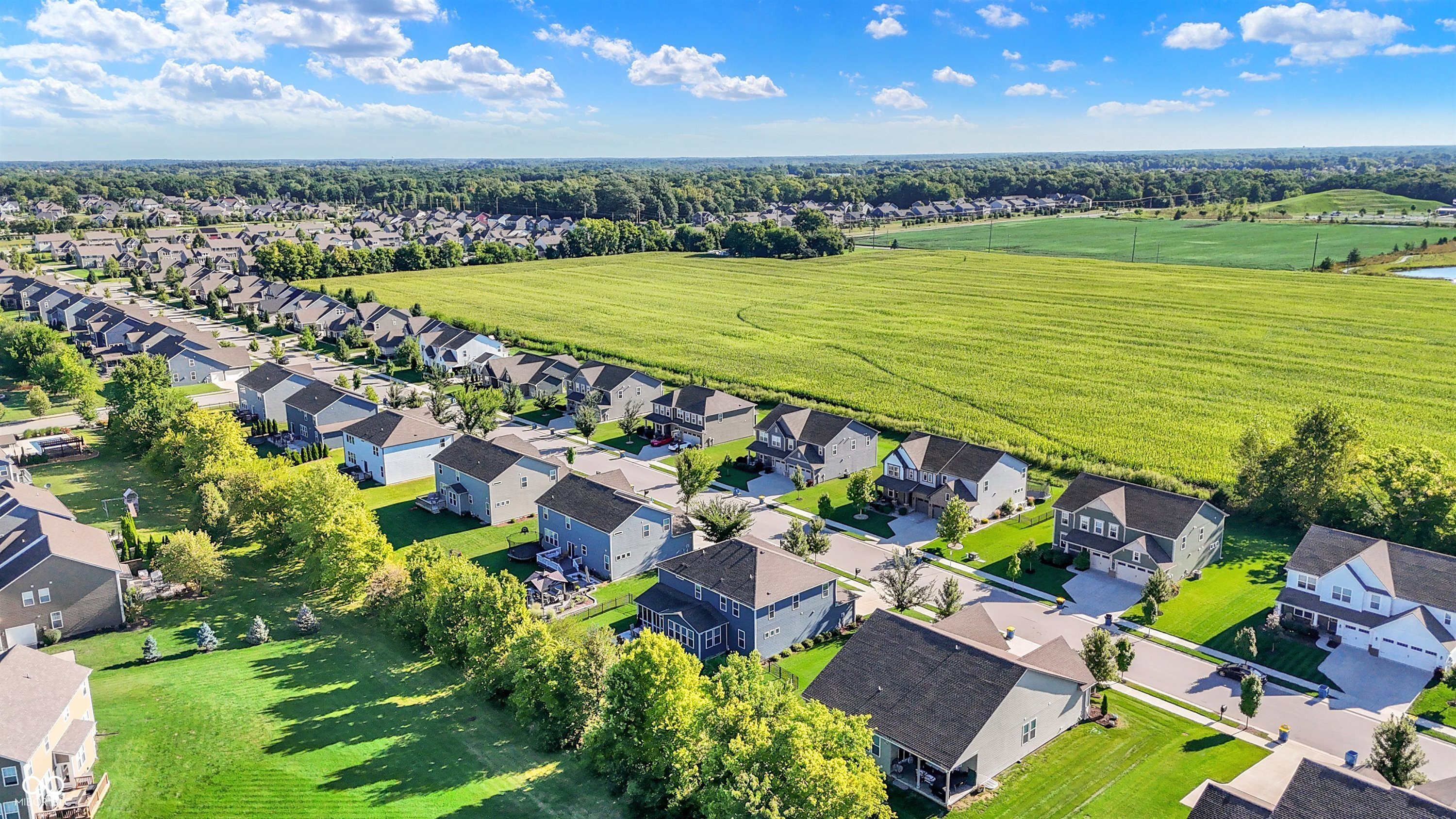 9968 Midnight Line Drive