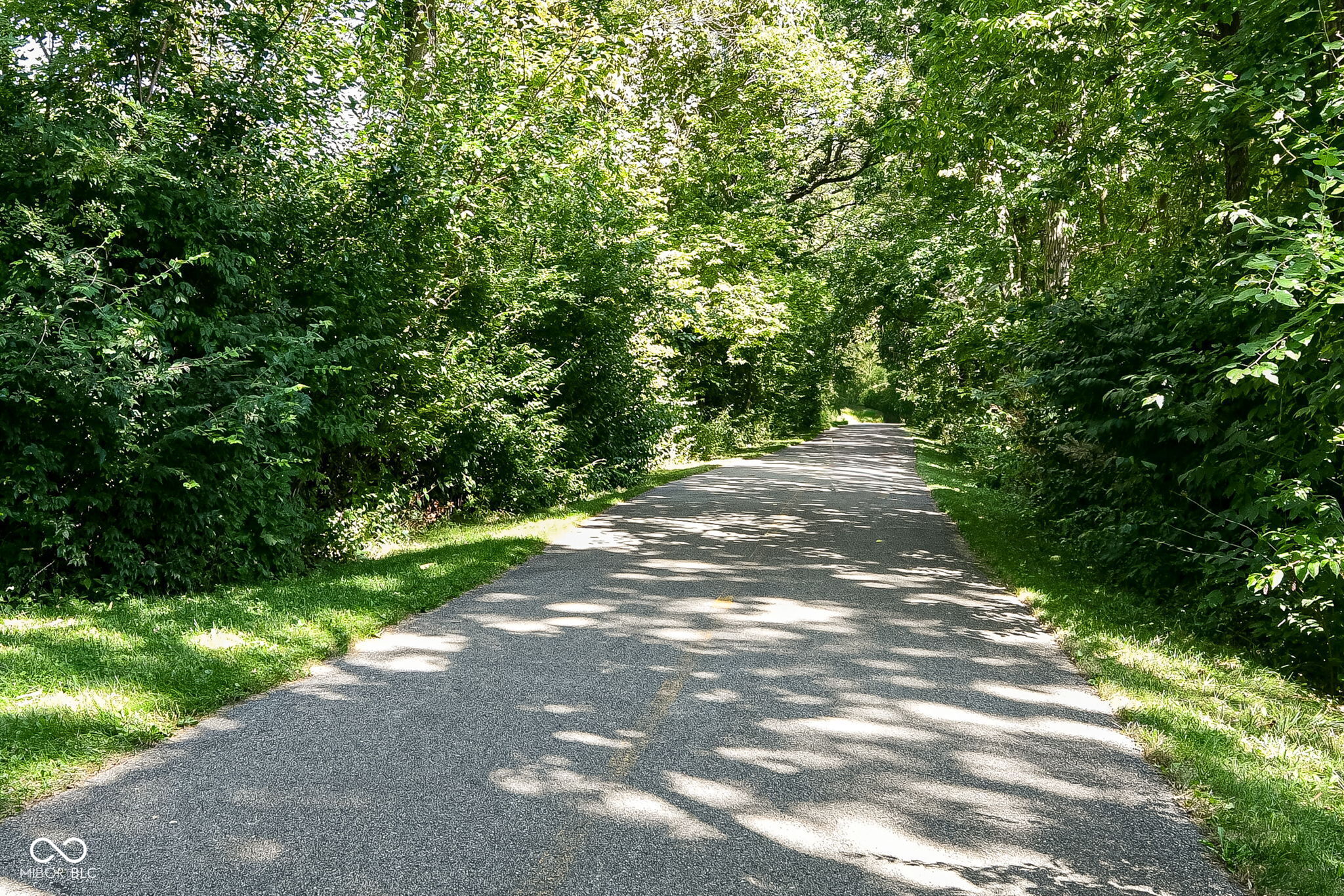 7122 Willowleaf Court