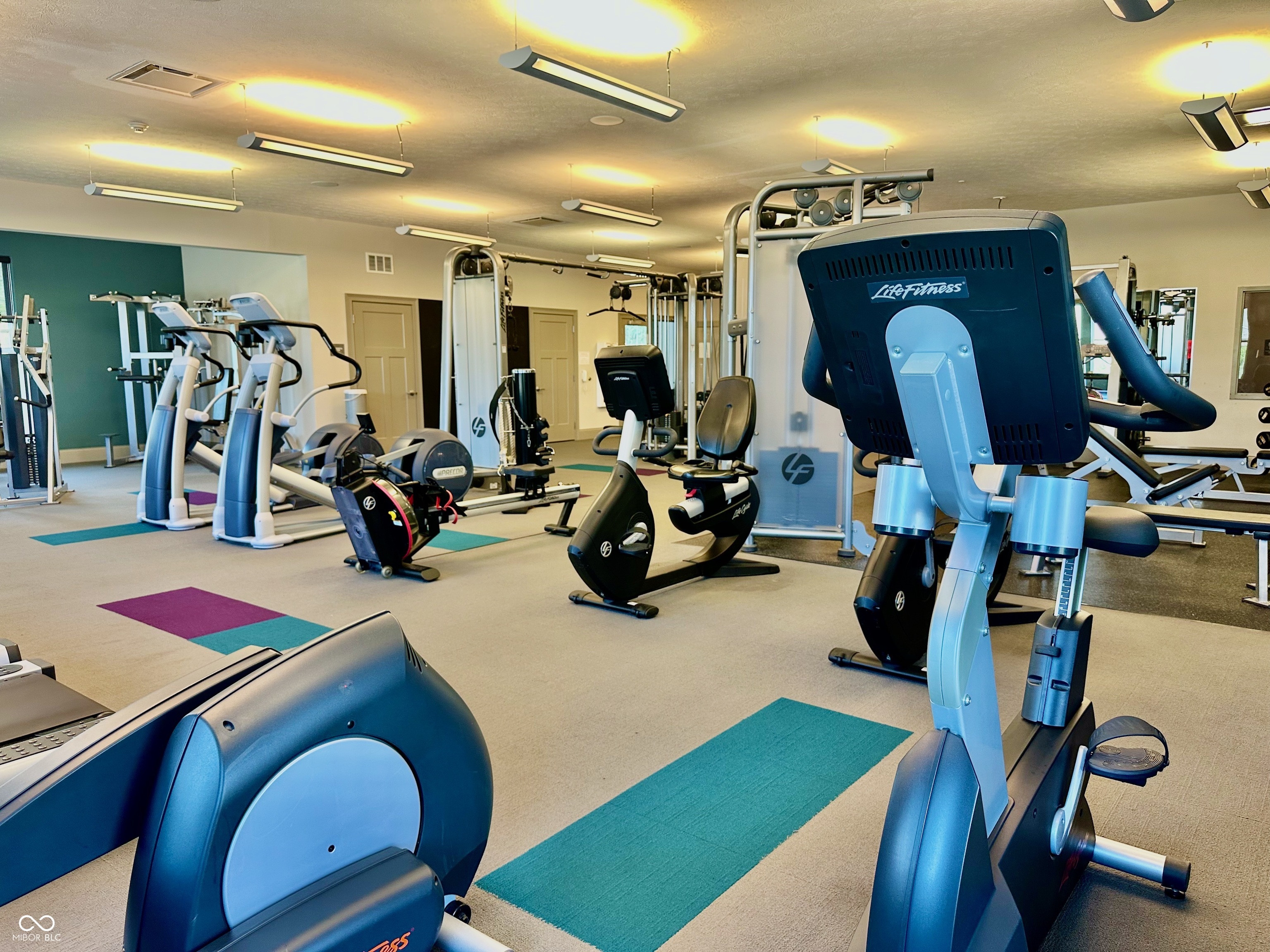 1425 Birchfield Drive