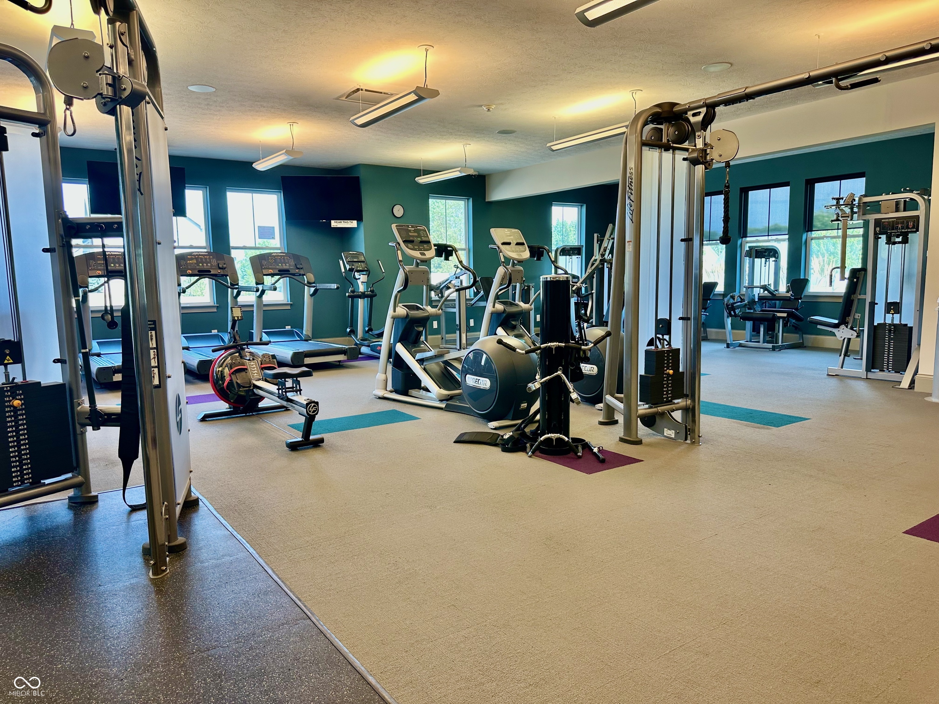 1425 Birchfield Drive