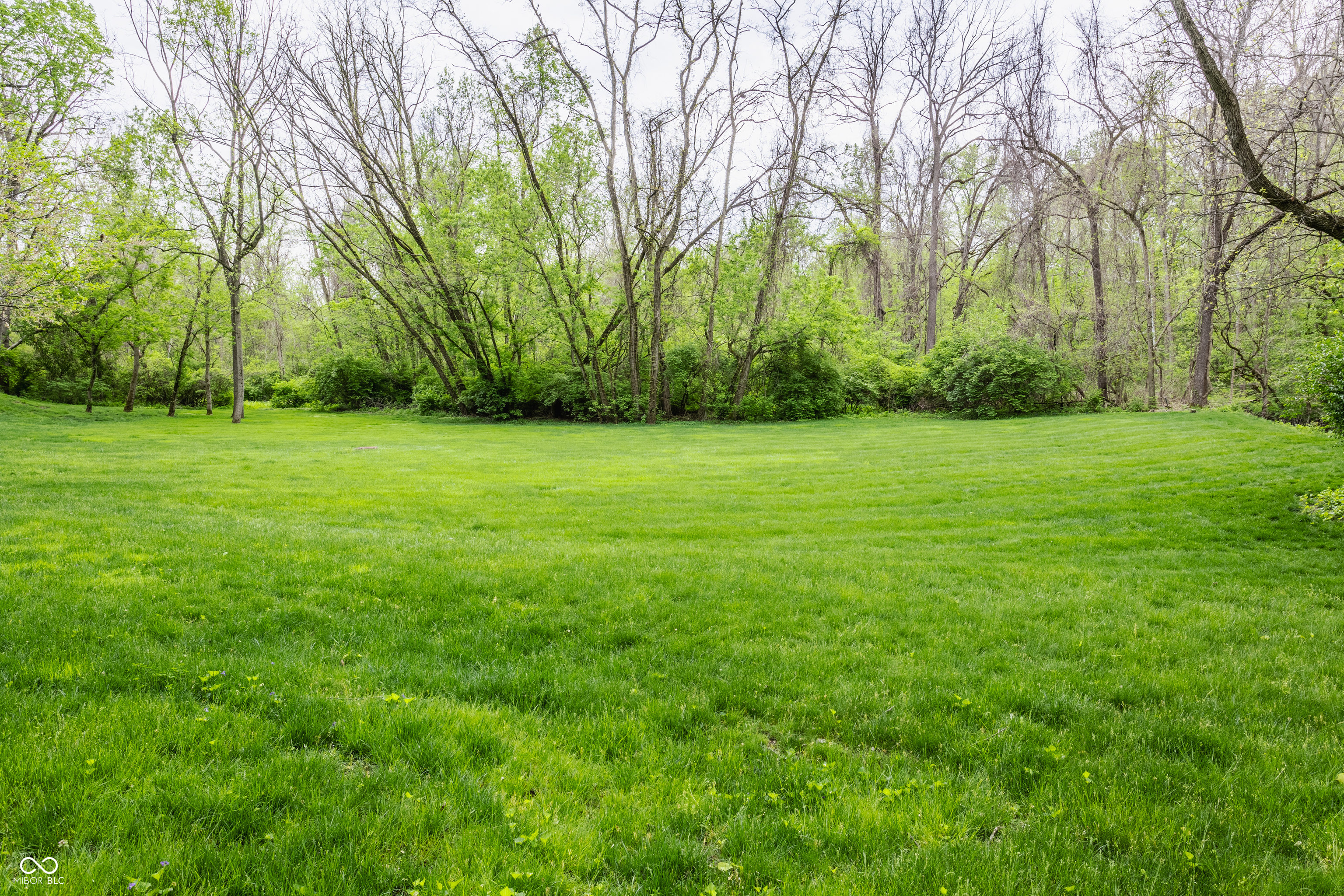 421 Springwood Drive