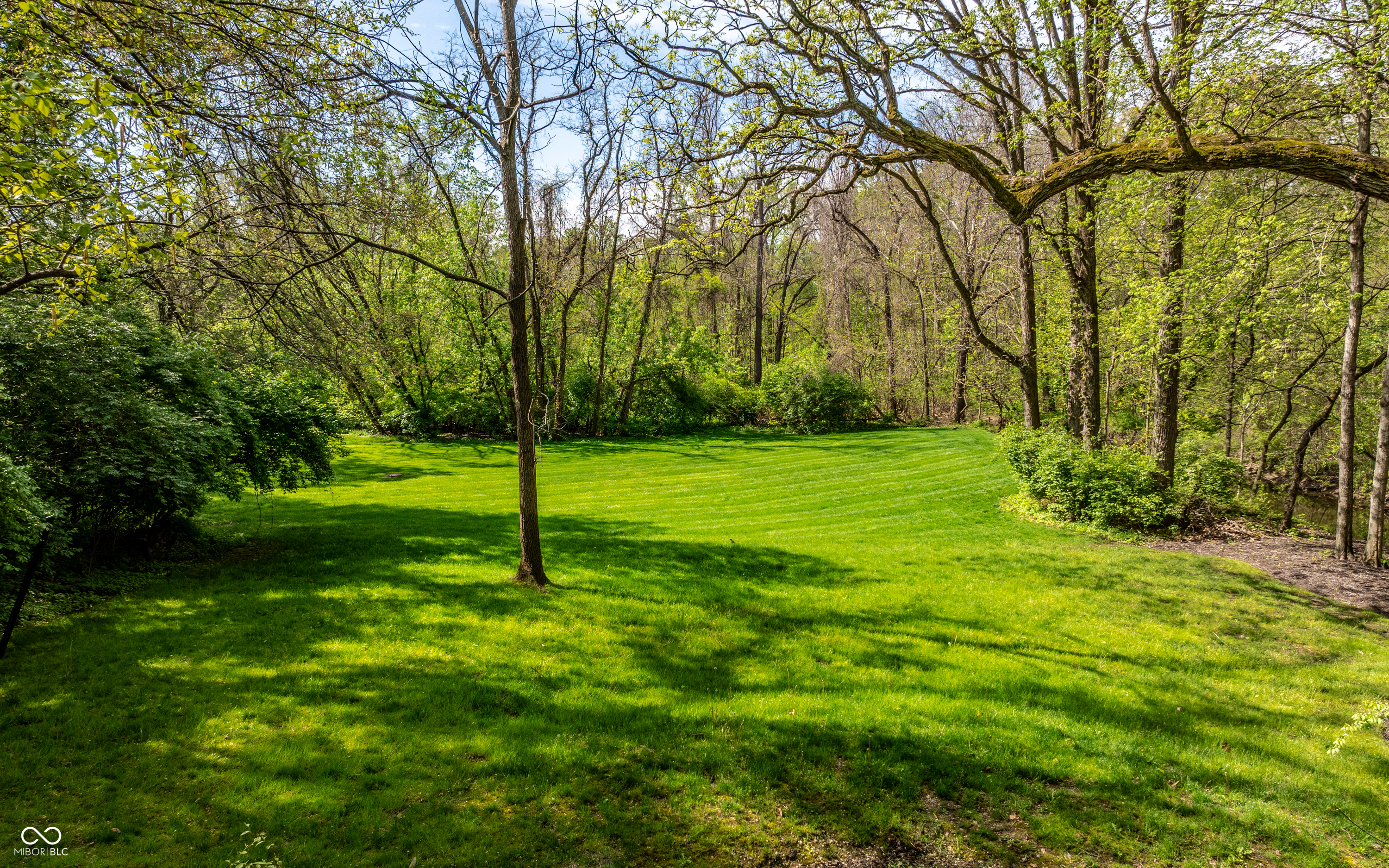 421 Springwood Drive