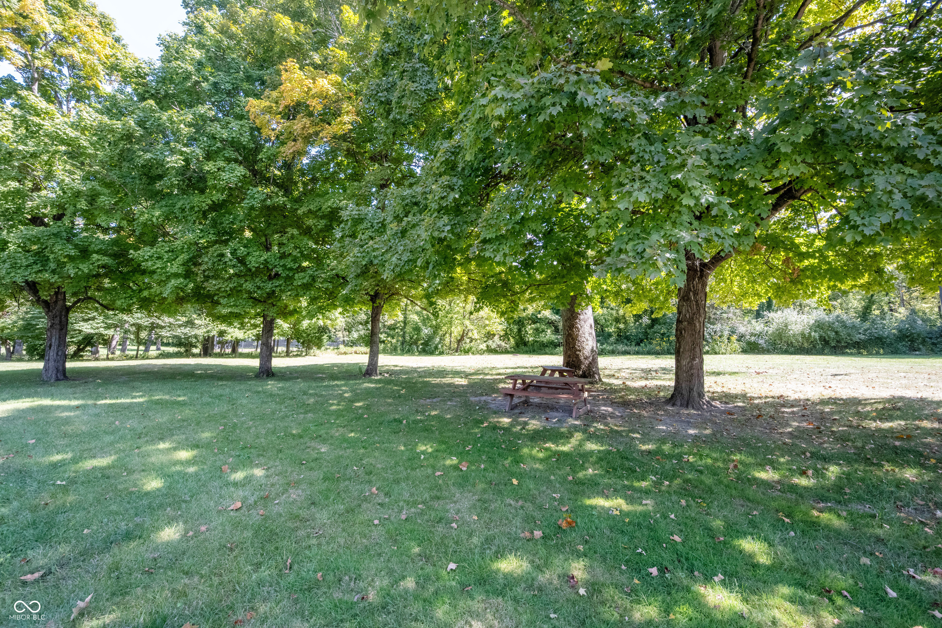 7240 Elm Ridge Drive