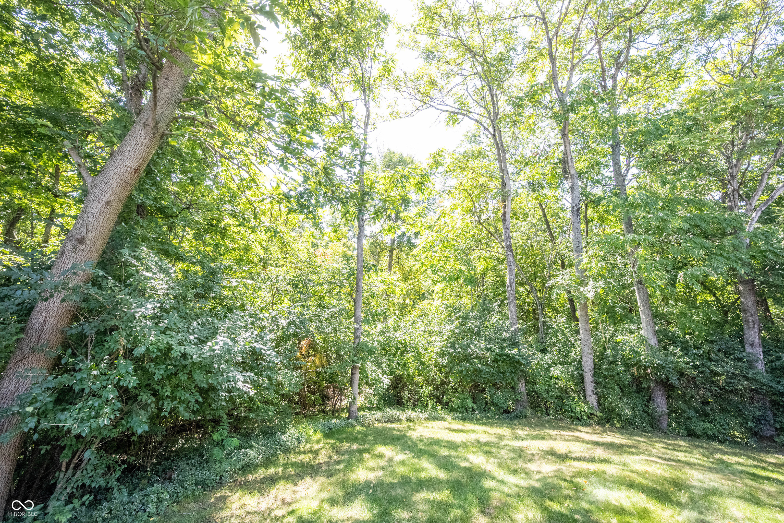 7240 Elm Ridge Drive