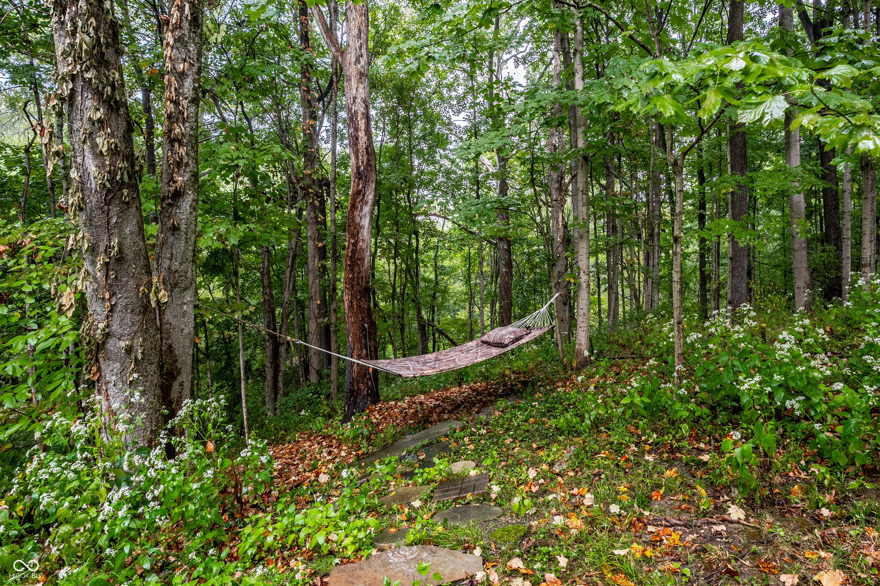 8310 Fall Creek Road